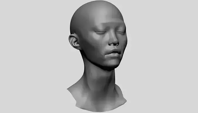 Female Head - Base Anatomy 3D model