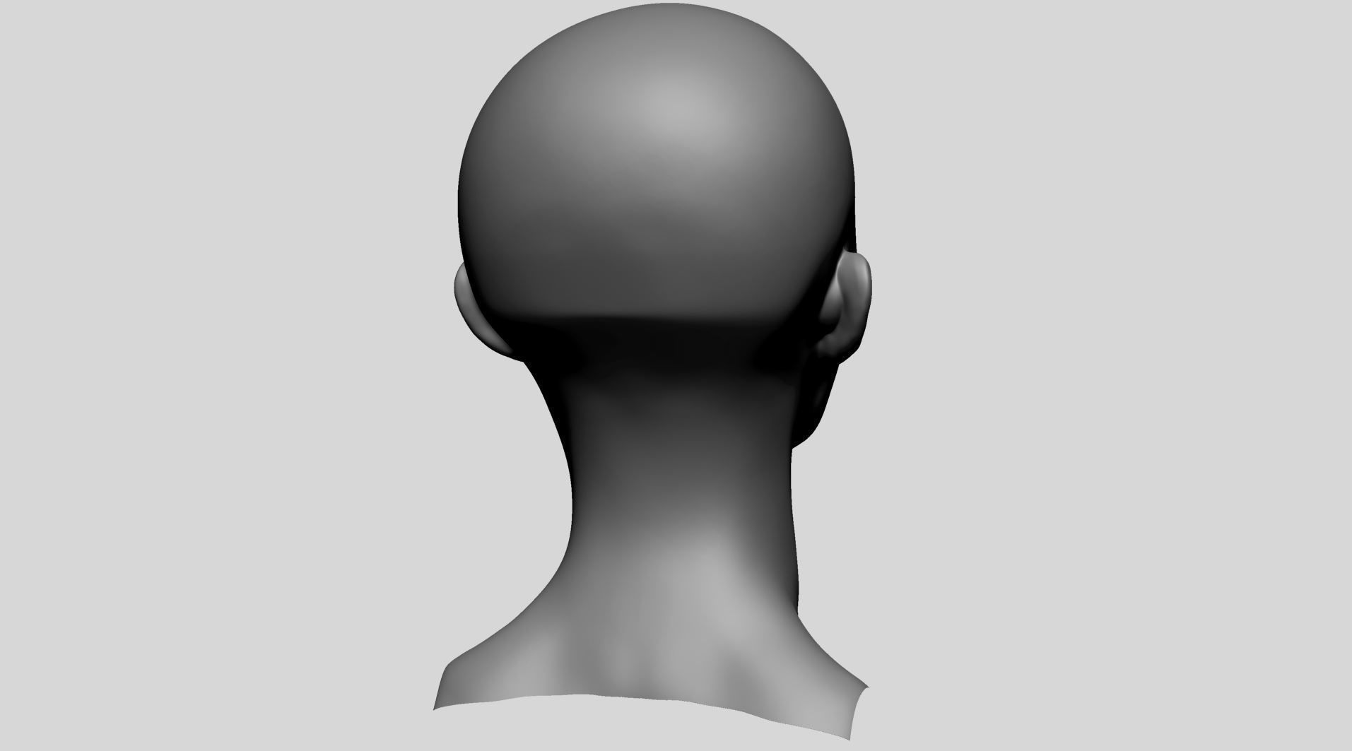 Female Head - Base Anatomy 3D model_3