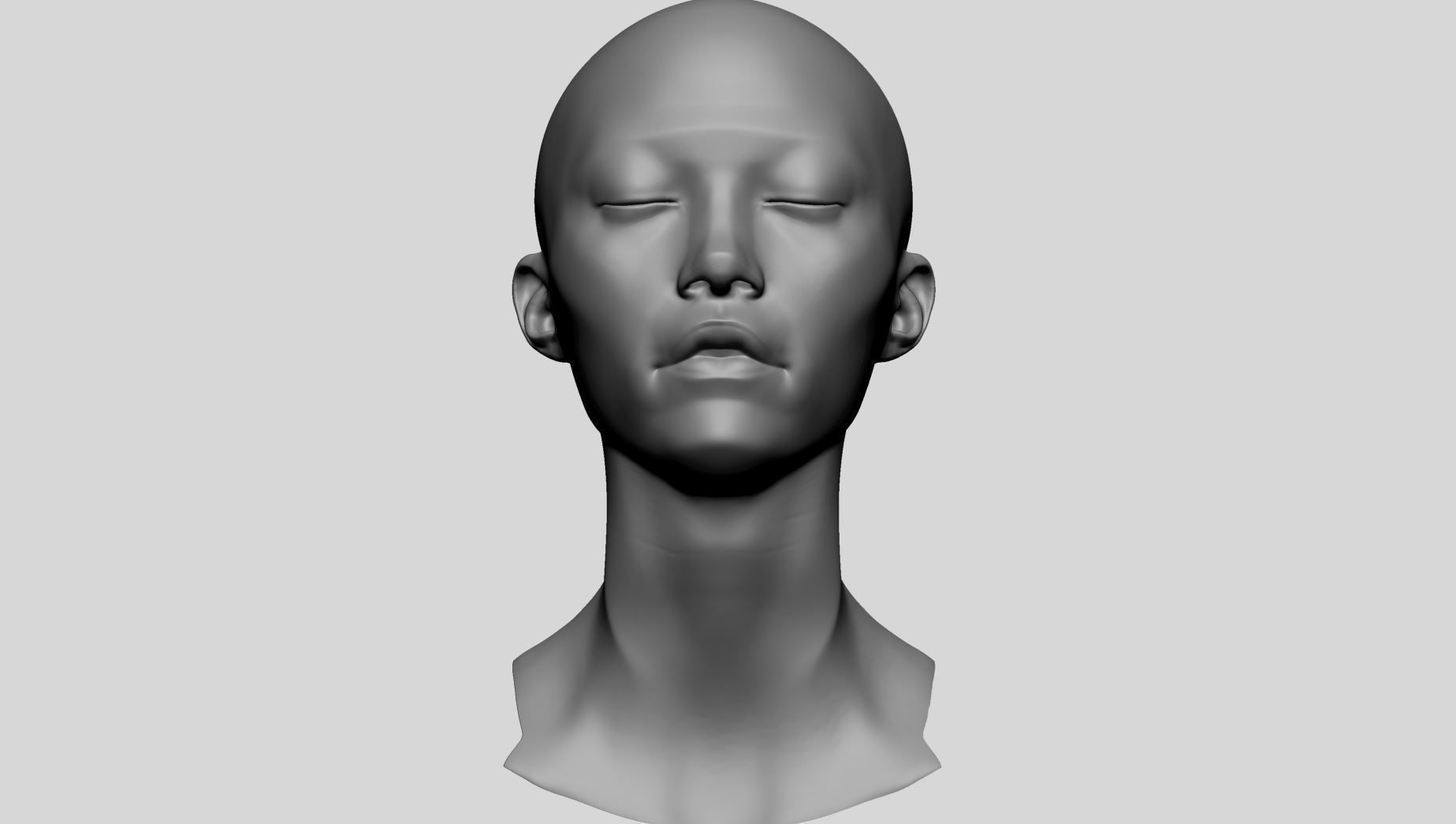 Female Head - Base Anatomy 3D model_7