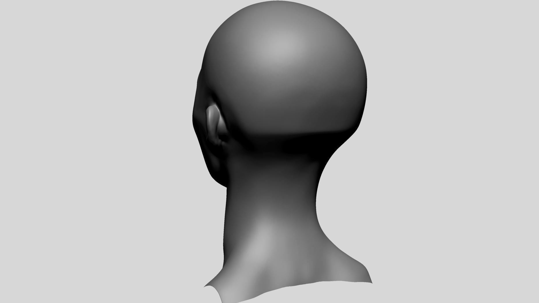 Female Head - Base Anatomy 3D model_4