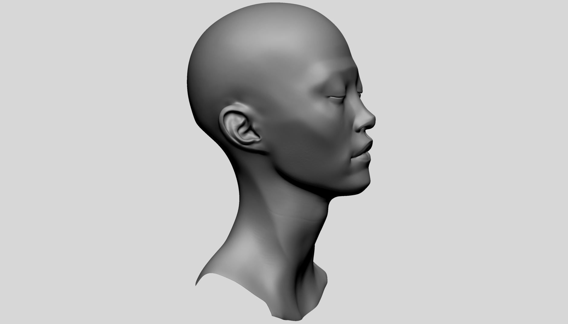 Female Head - Base Anatomy 3D model_1