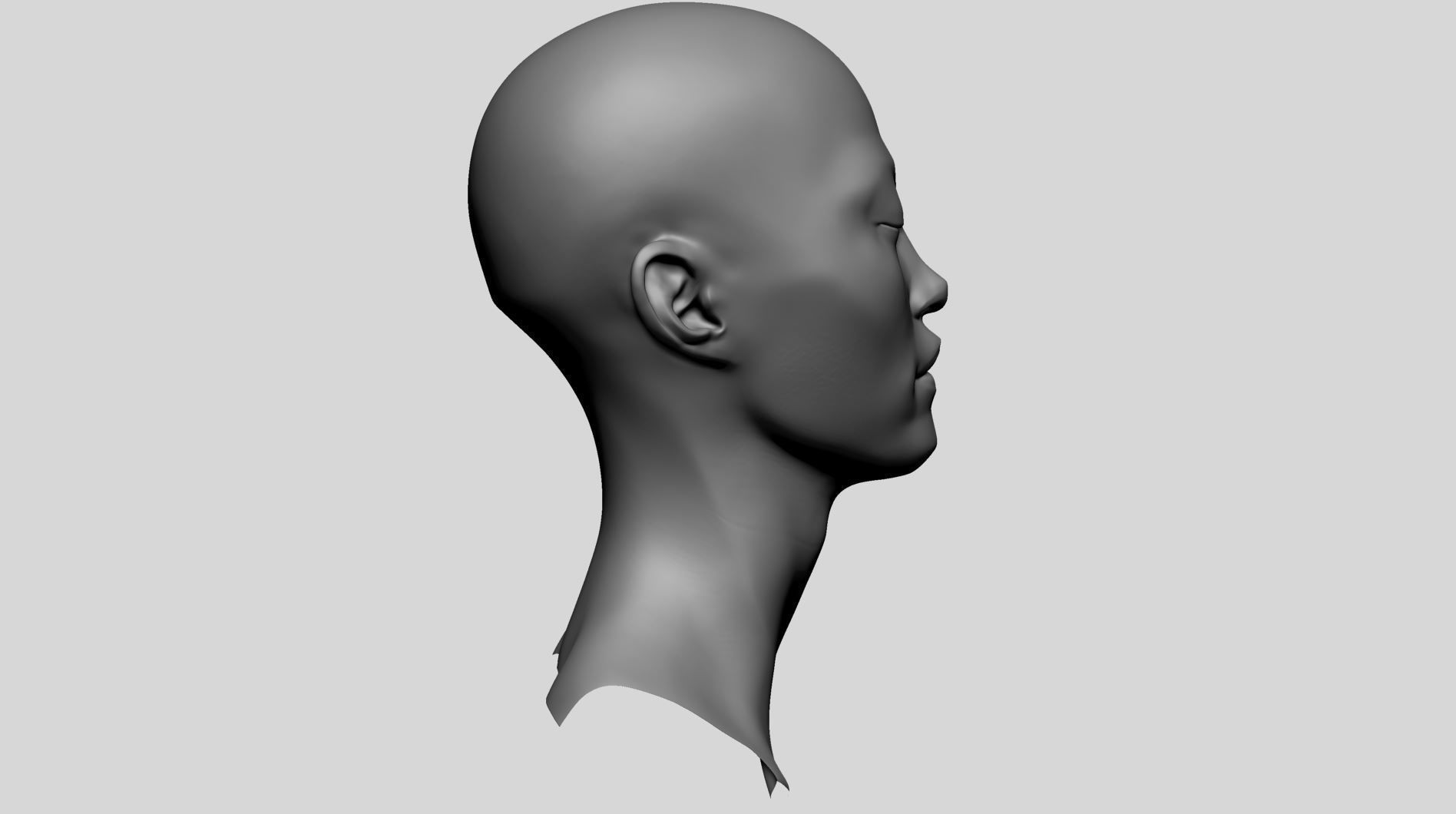 Female Head - Base Anatomy 3D model_2