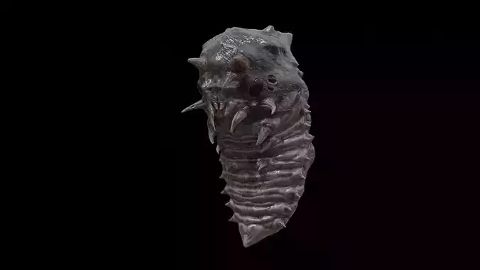 Alien Parasite Cocoon Low-poly 3D model