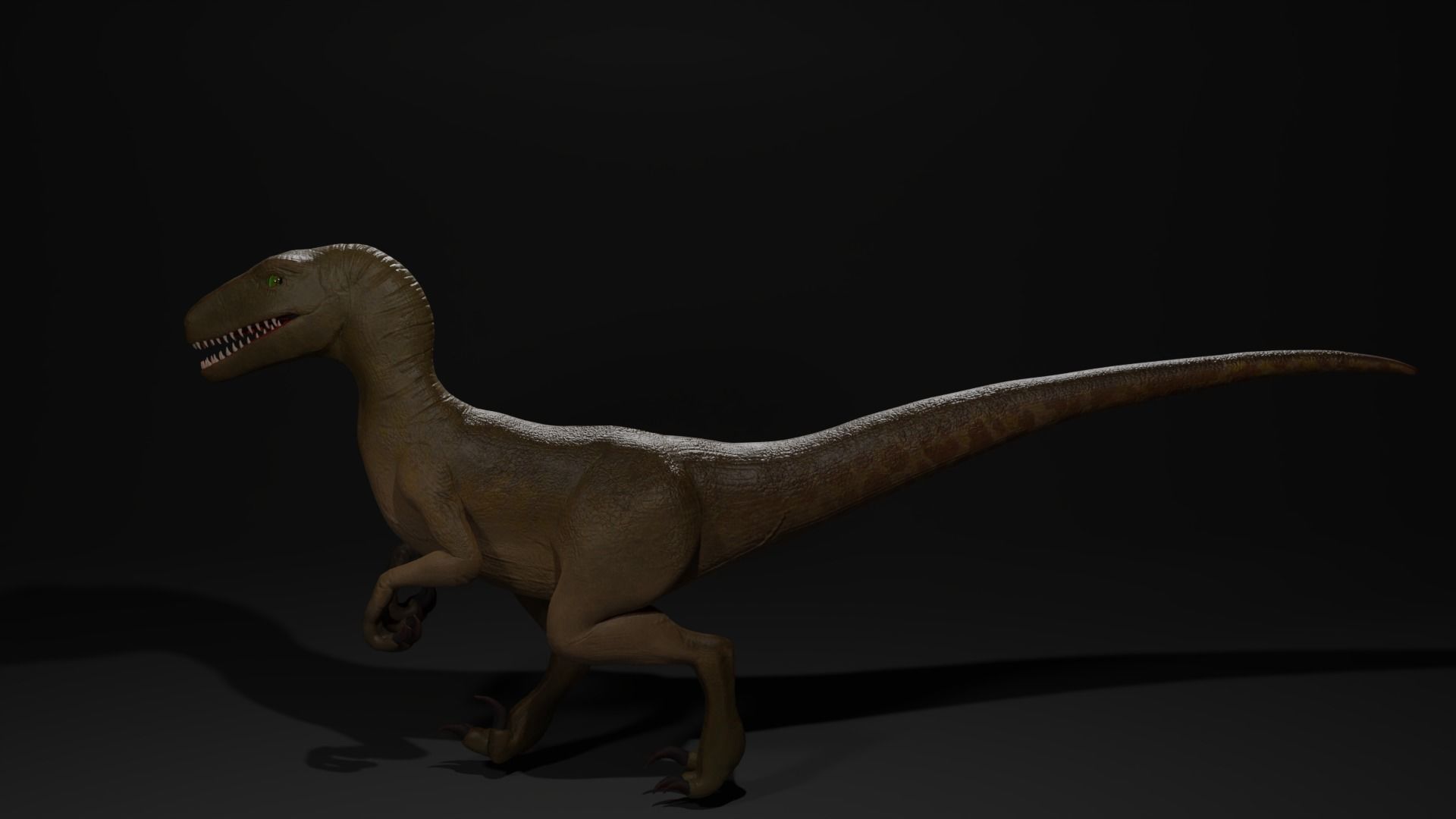 velociraptor model rigged Low-poly 3D model_1
