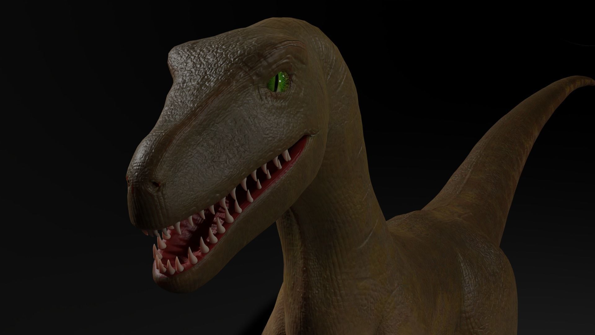velociraptor model rigged Low-poly 3D model_5