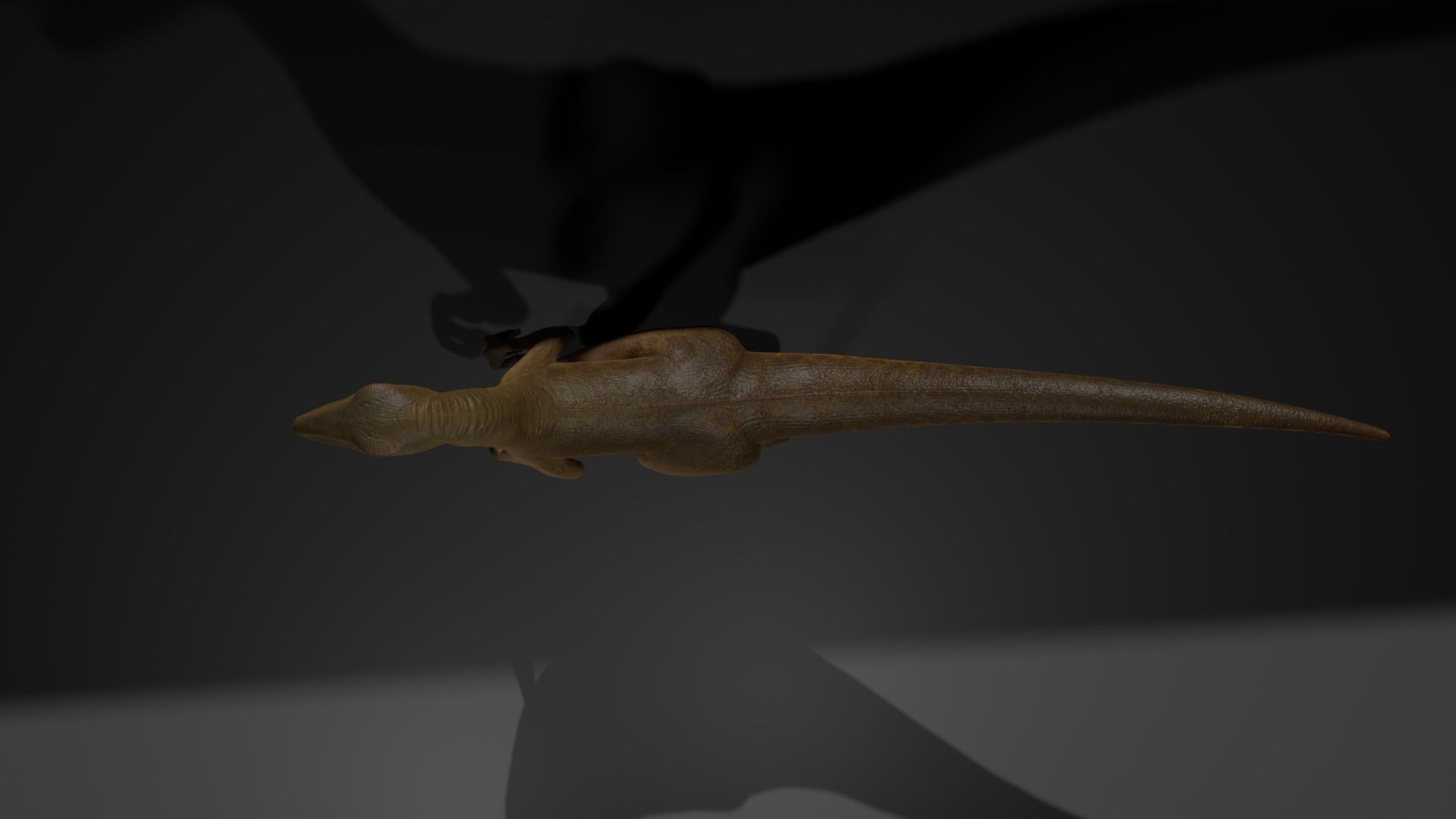 velociraptor model rigged Low-poly 3D model_4