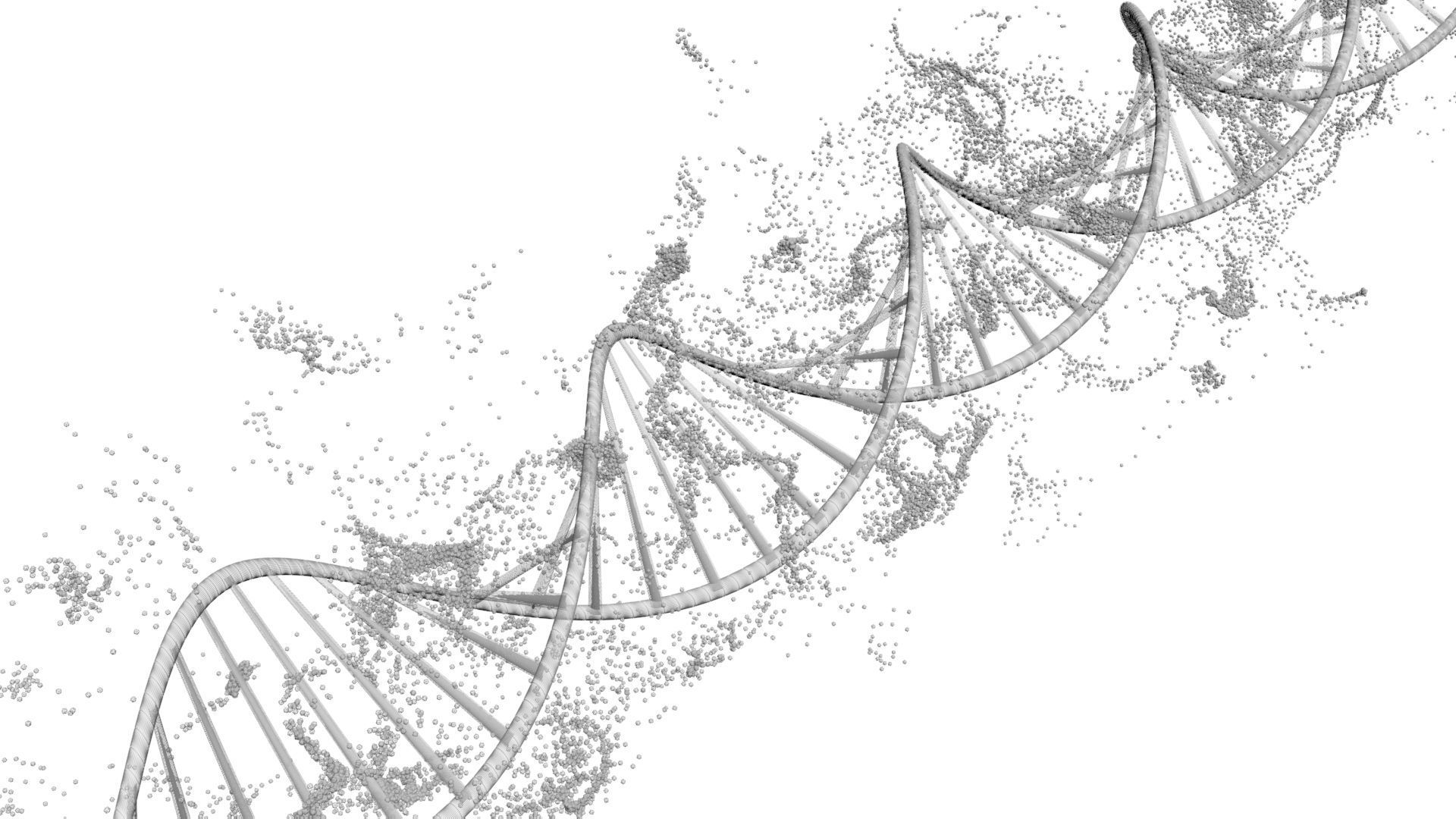 DNA Helix 3D model_18