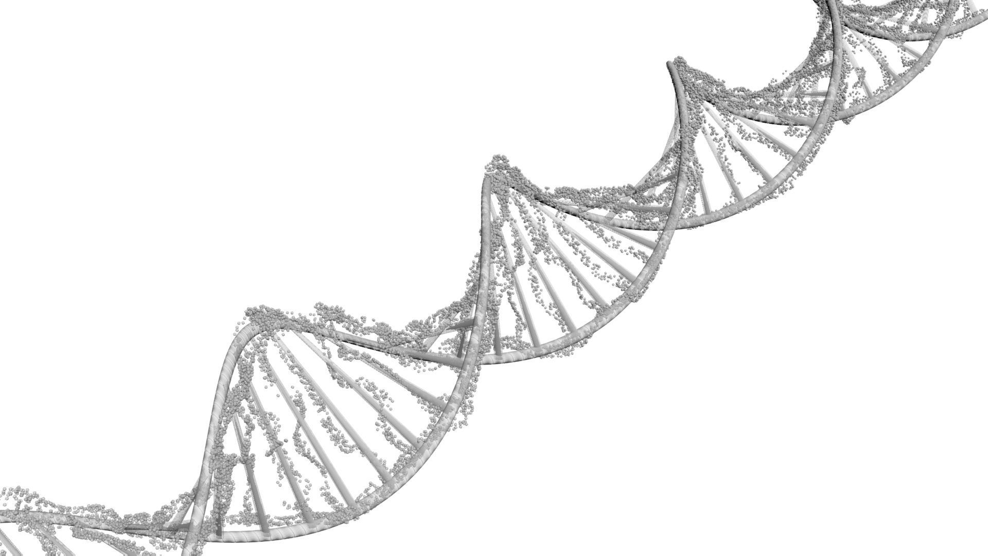 DNA Helix 3D model_14