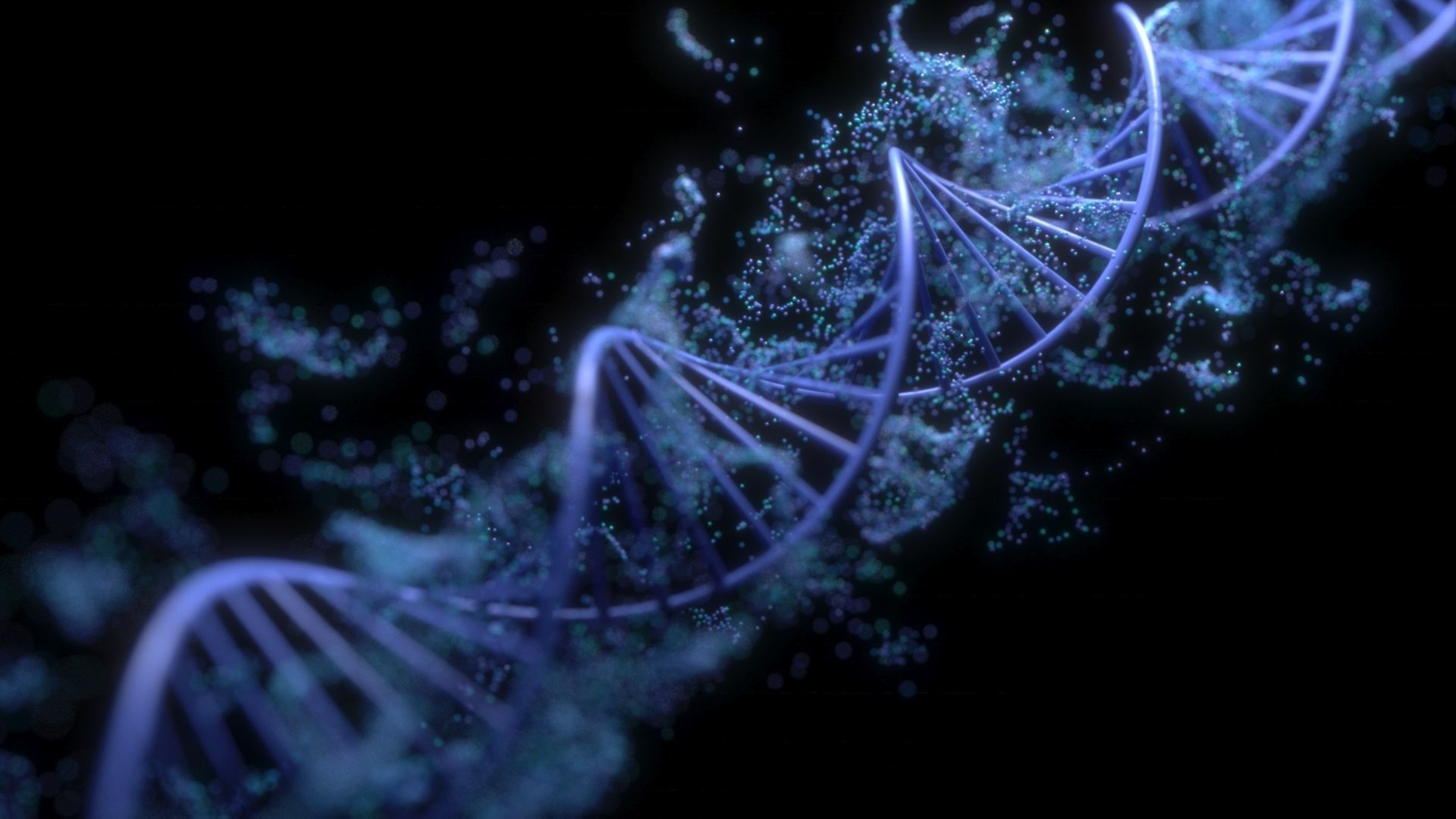 DNA Helix 3D model_3