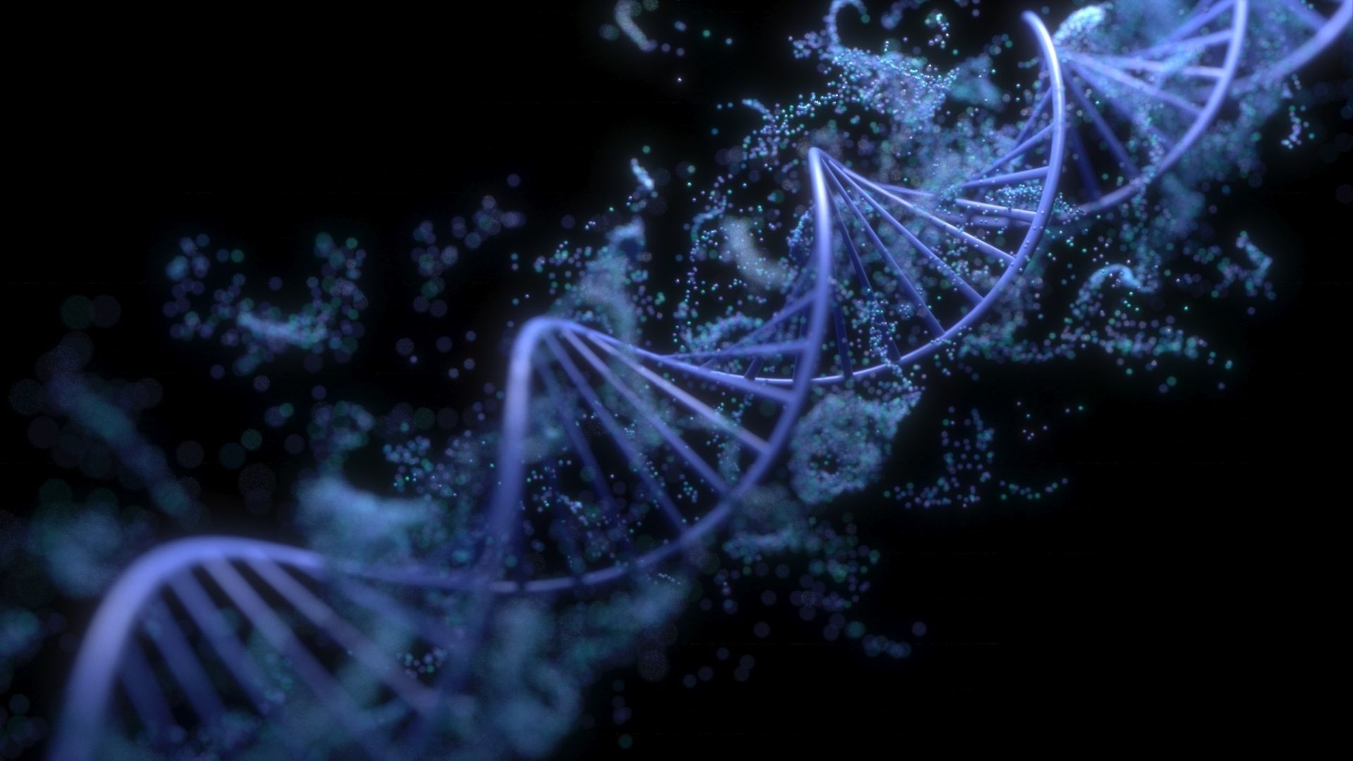DNA Helix 3D model_4