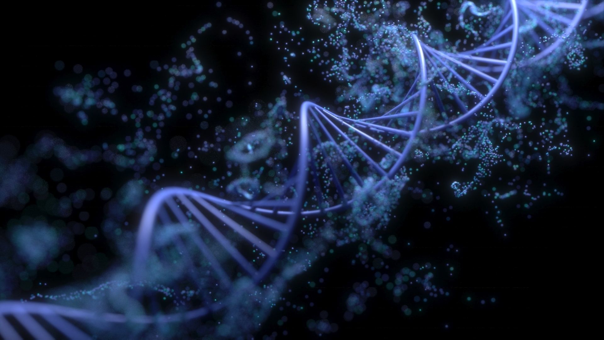 DNA Helix 3D model_2