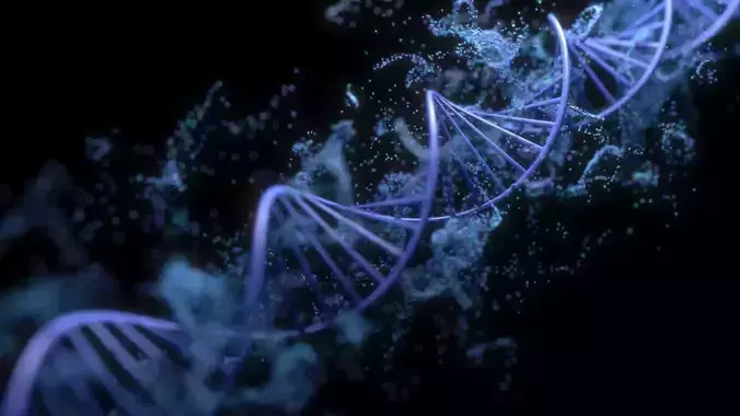 DNA Helix 3D model