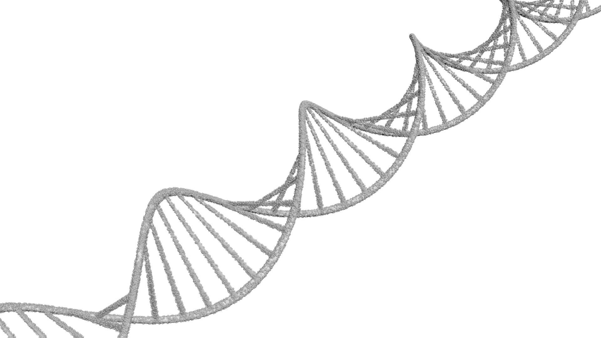DNA Helix 3D model_10