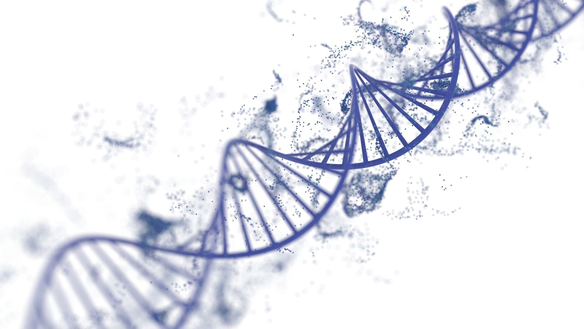 DNA Helix 3D model_9