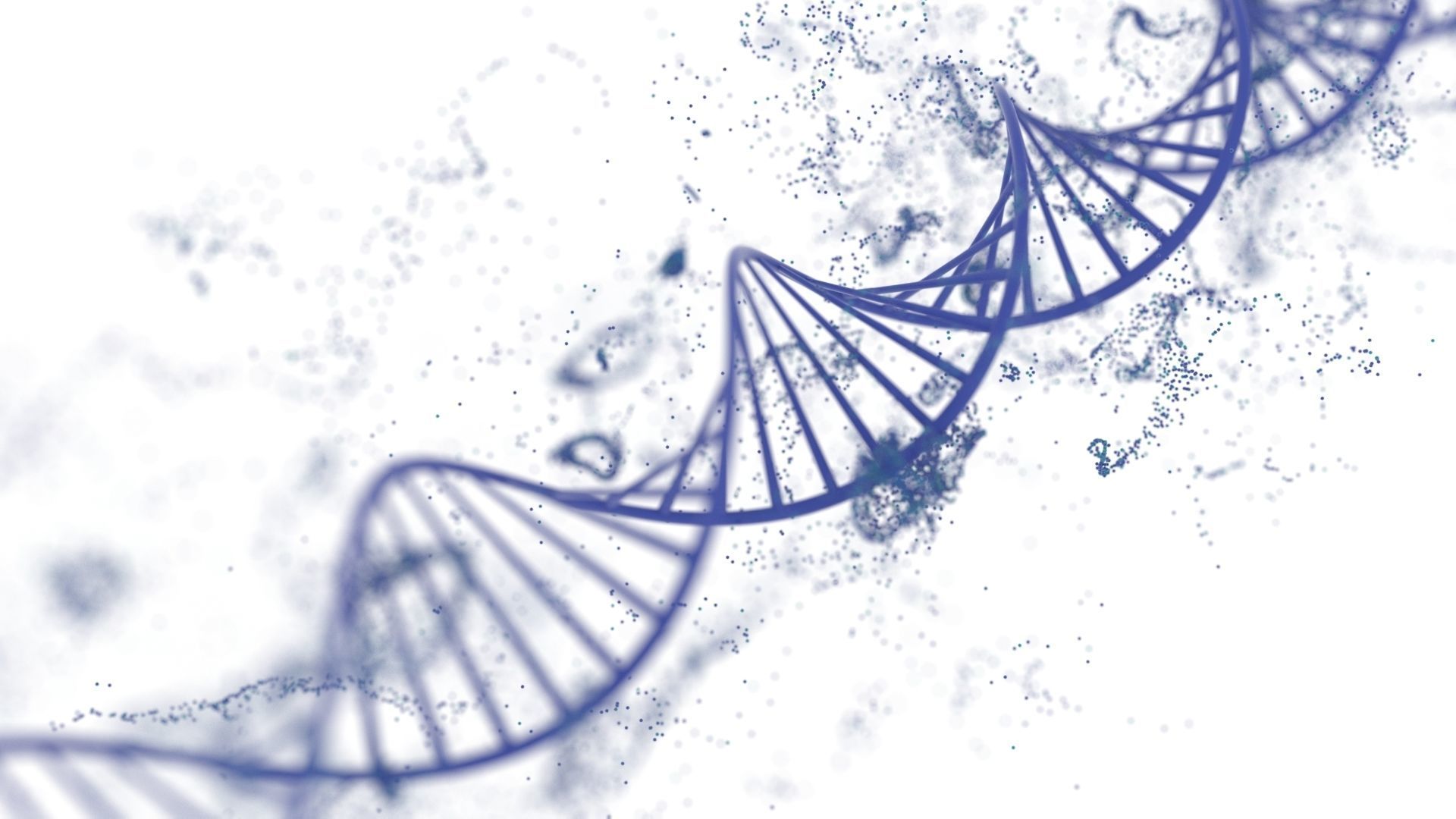 DNA Helix 3D model_8