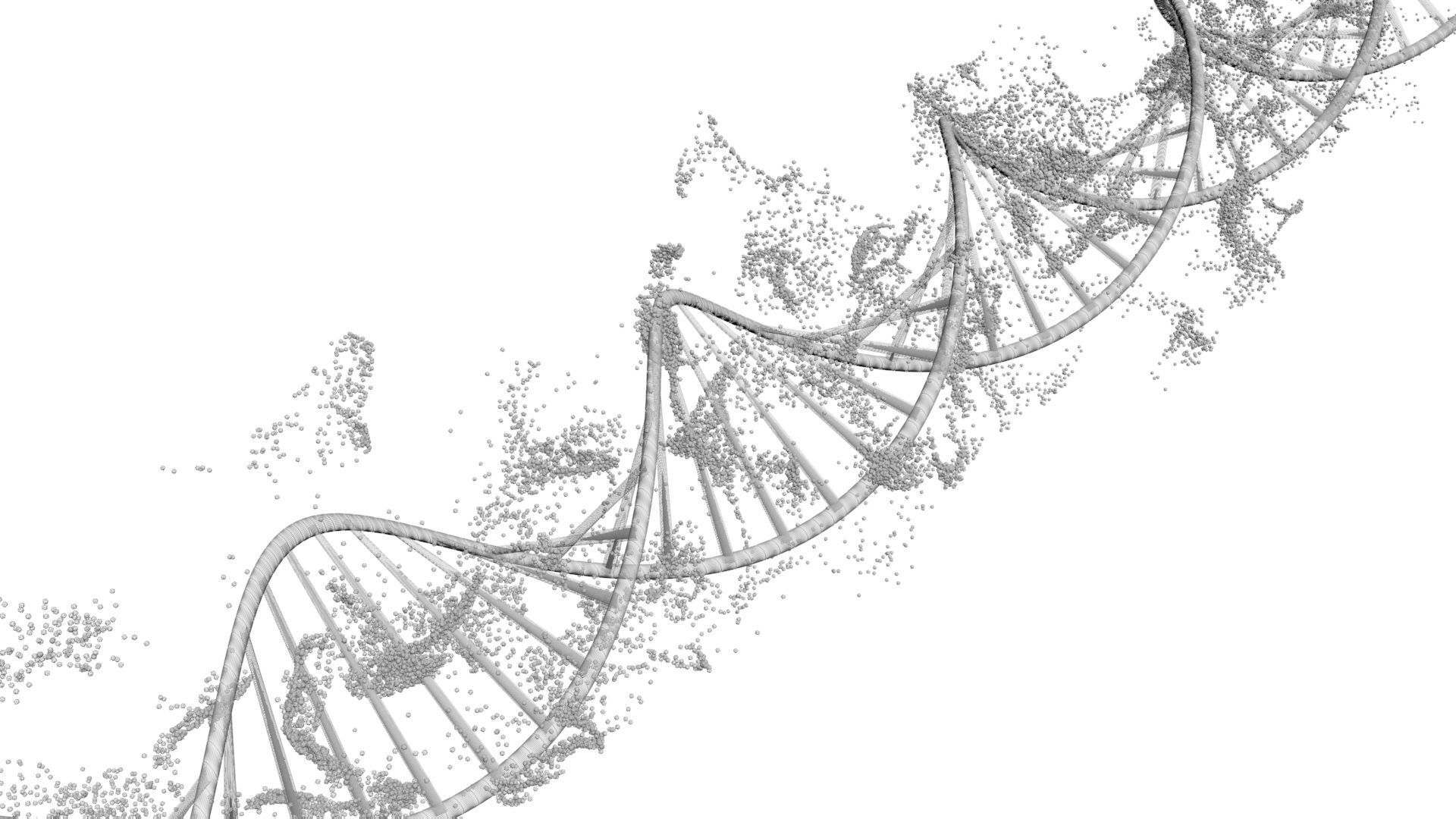 DNA Helix 3D model_11