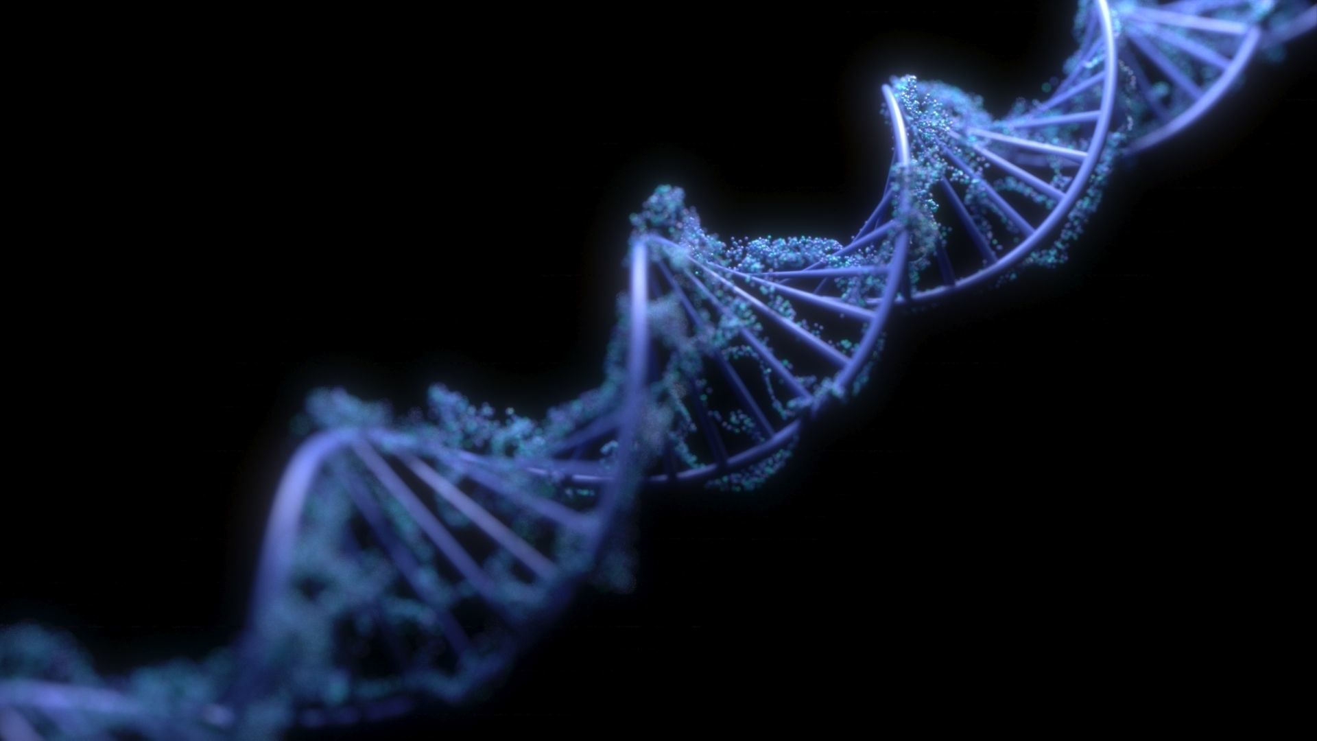 DNA Helix 3D model_5