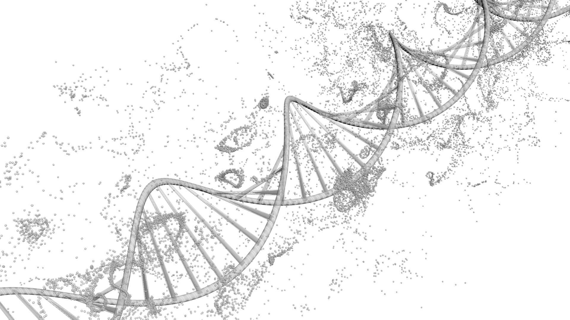 DNA Helix 3D model_13