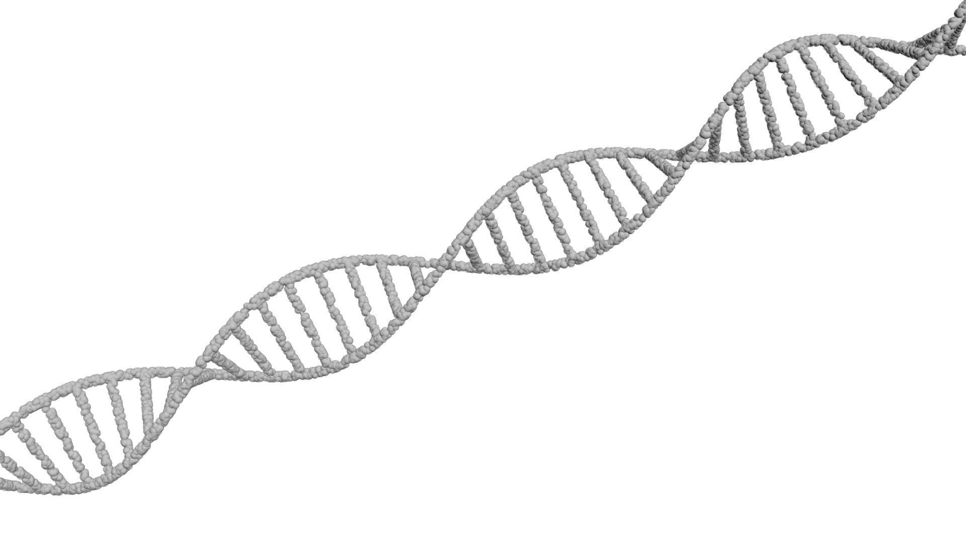 DNA Helix 3D model_20