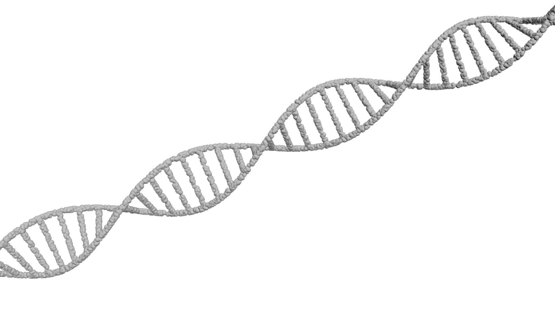 DNA Helix 3D model_23