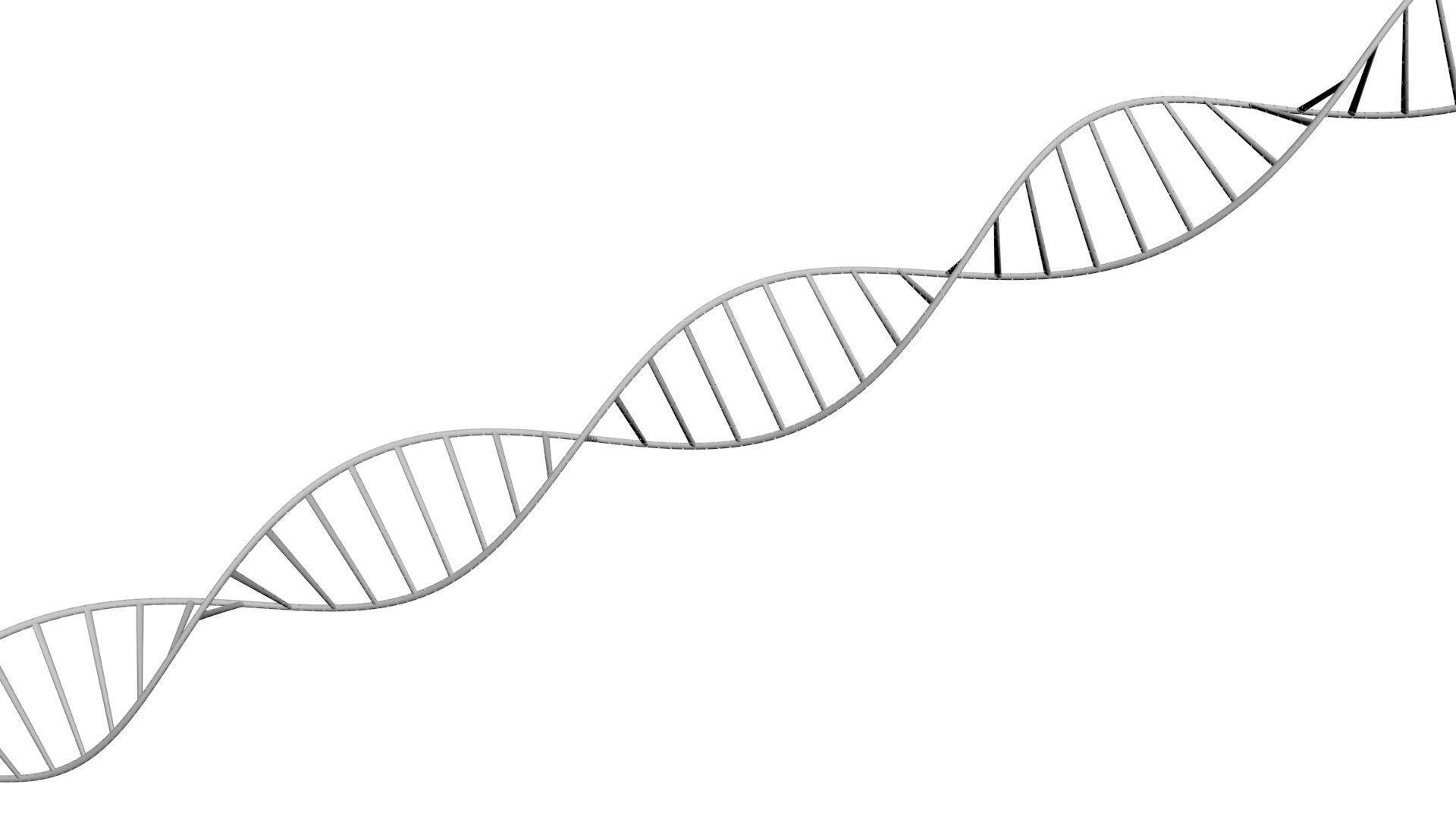 DNA Helix 3D model_27