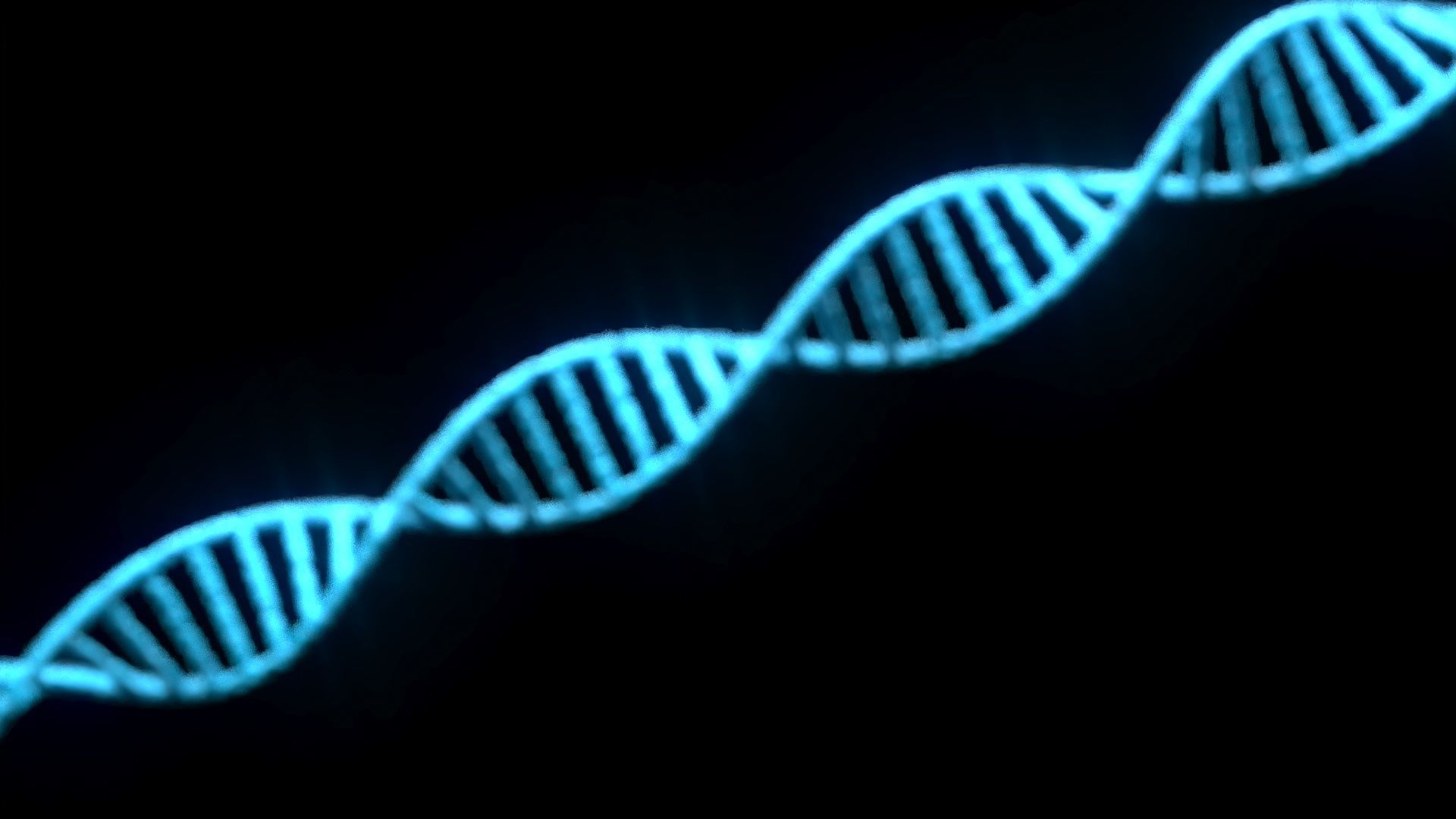 DNA Helix 3D model_9