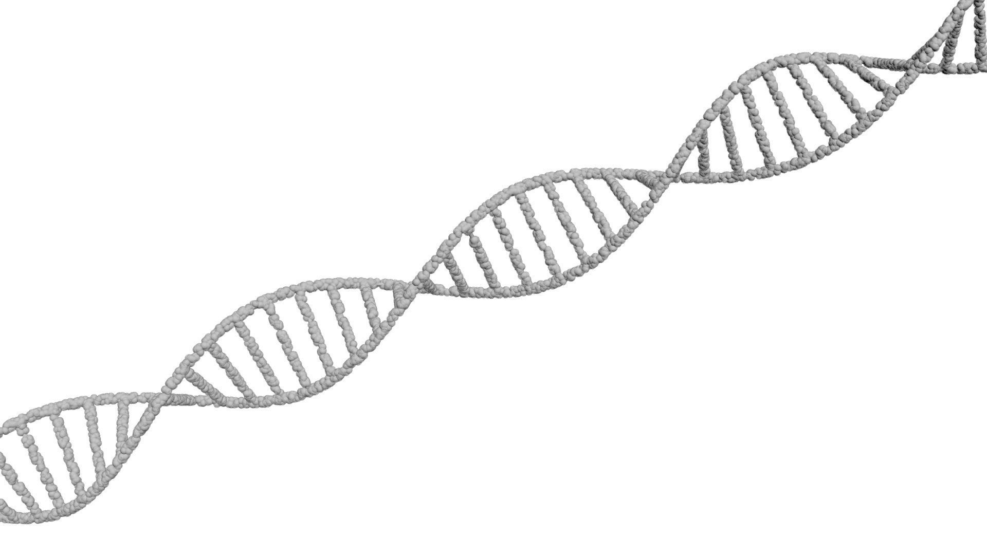 DNA Helix 3D model_24