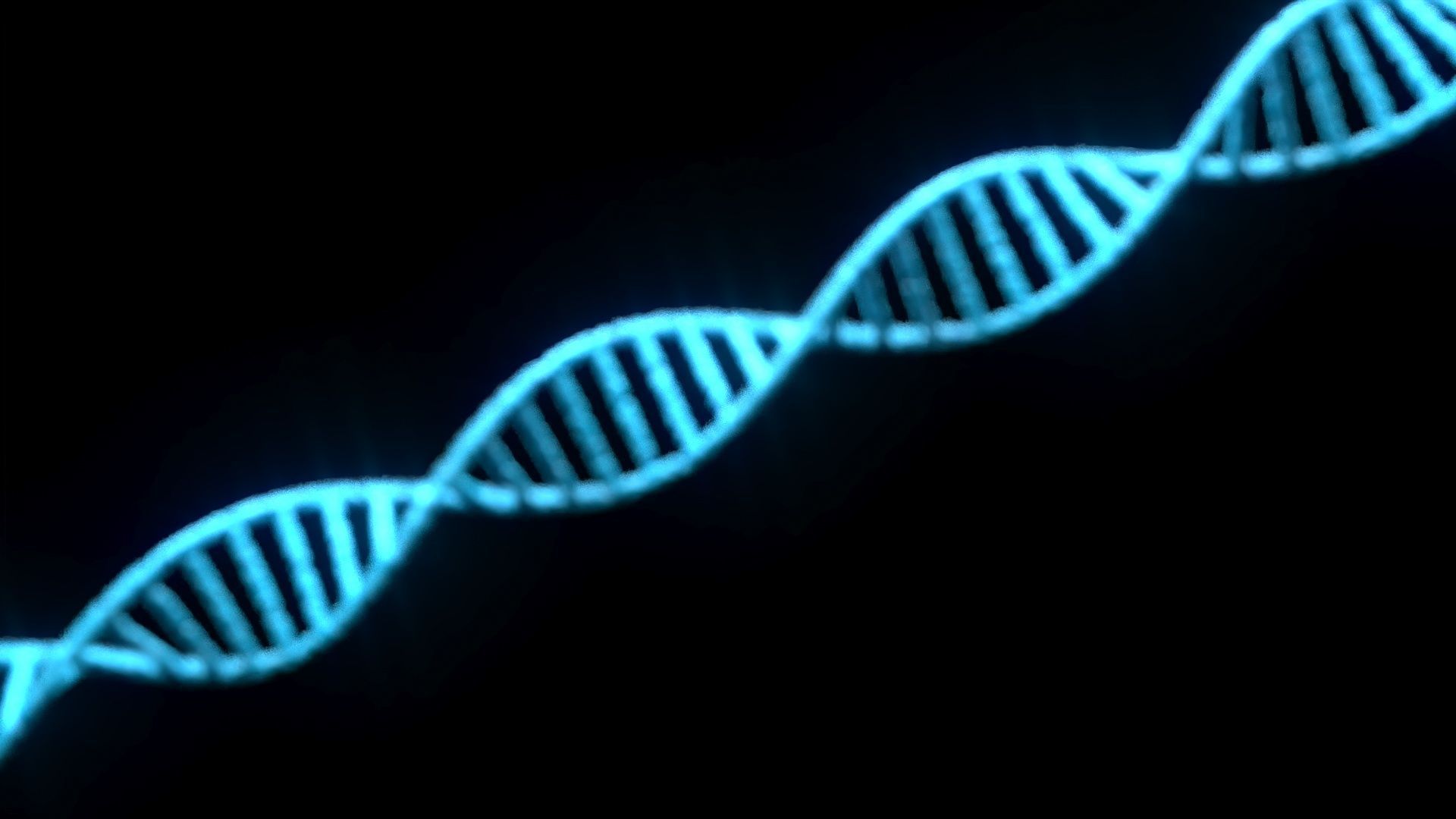 DNA Helix 3D model_1