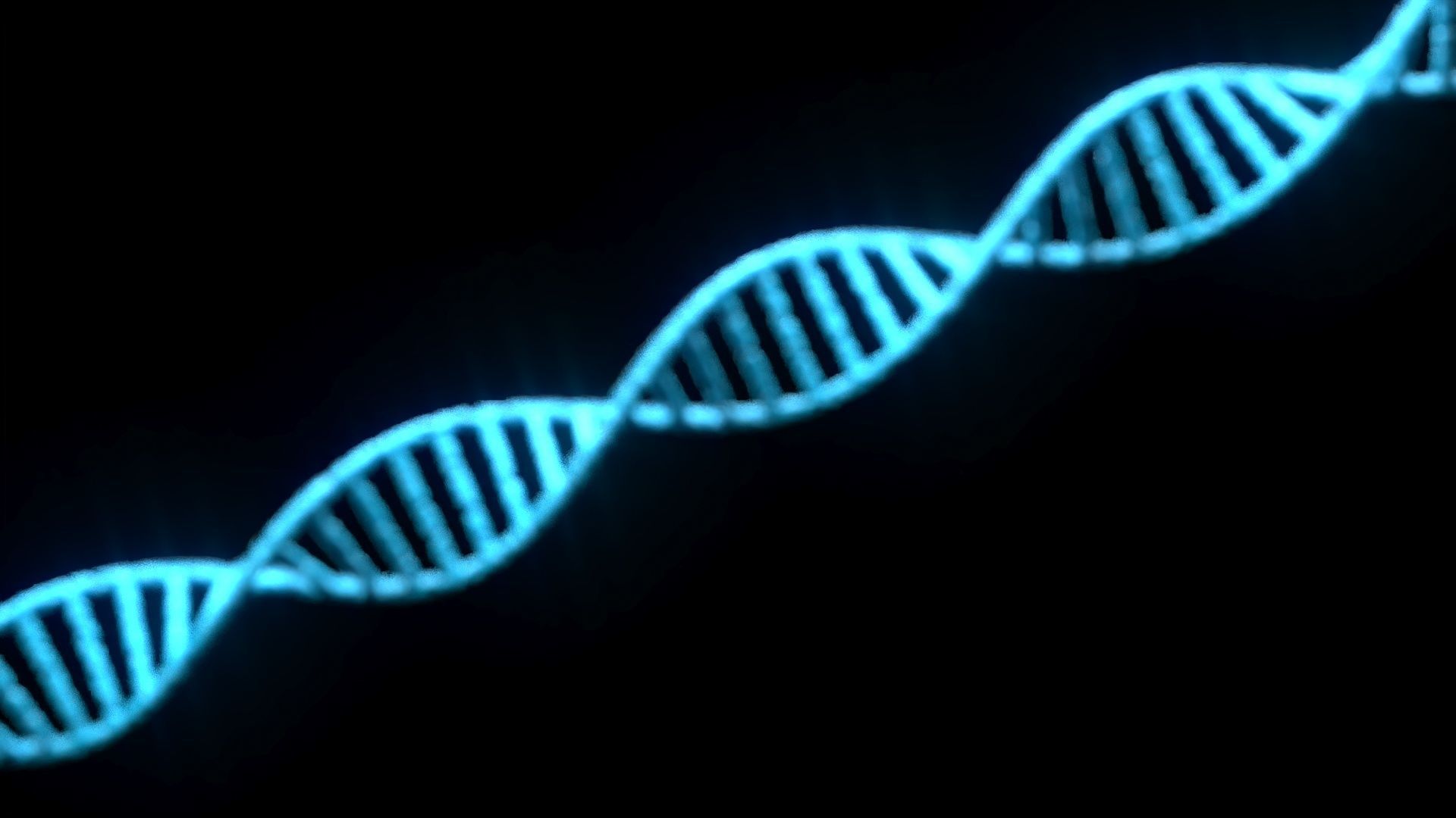 DNA Helix 3D model_2