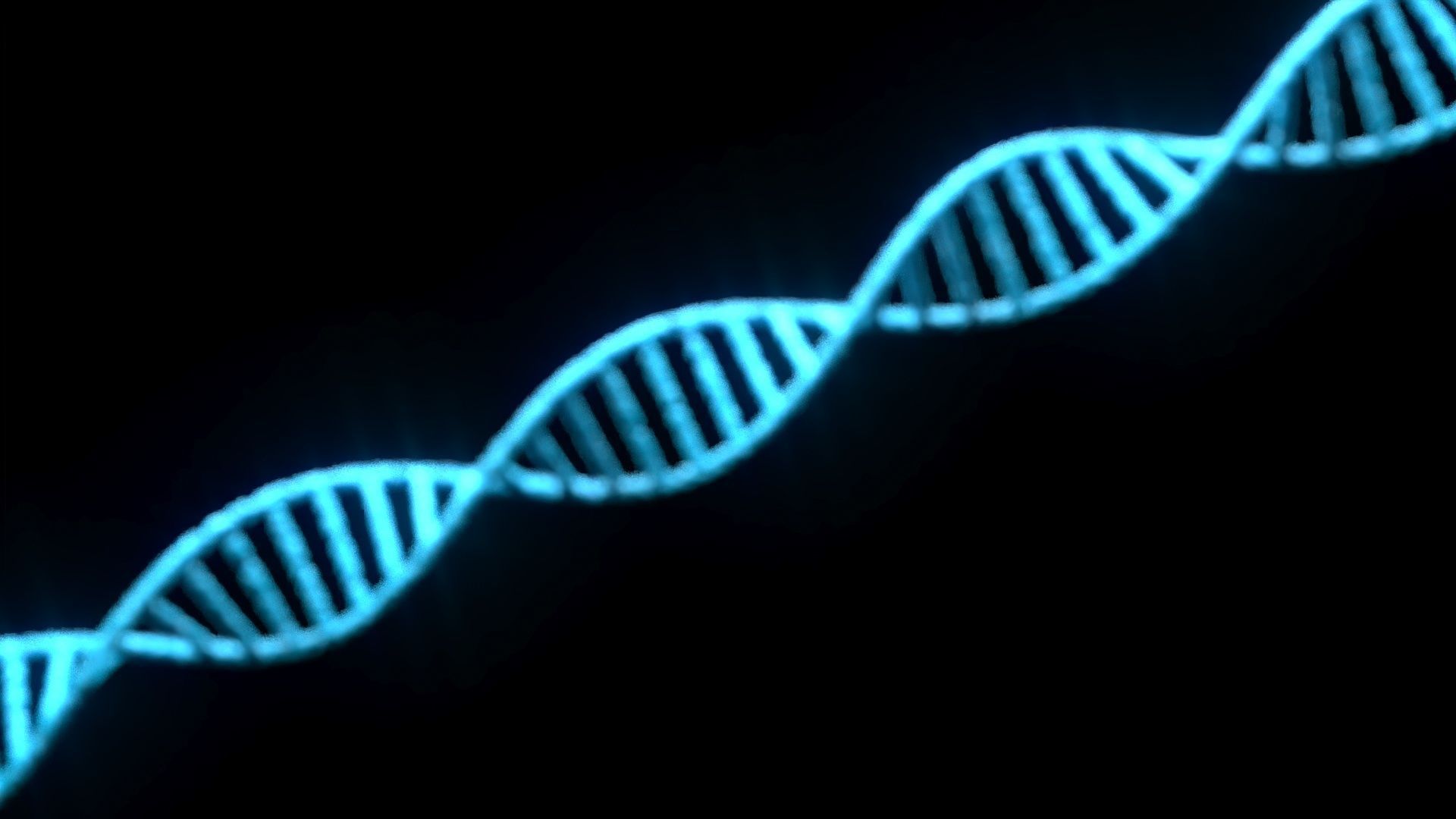 DNA Helix 3D model_6