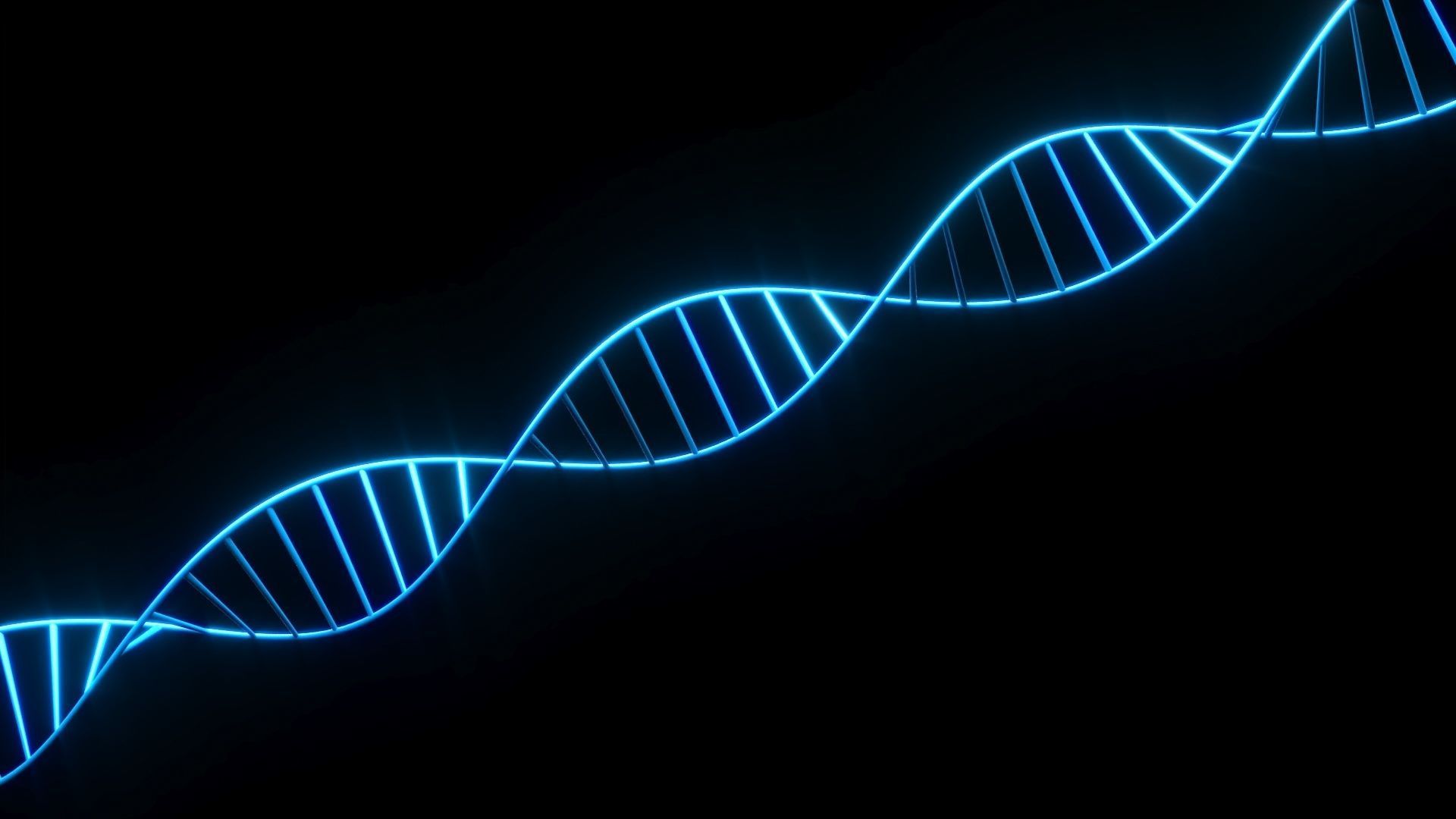 DNA Helix 3D model_14