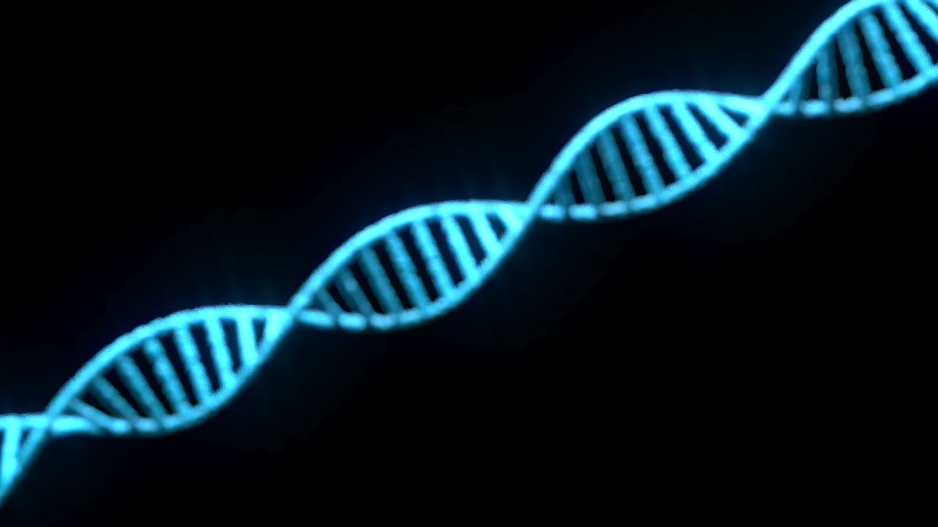 DNA Helix 3D model_10