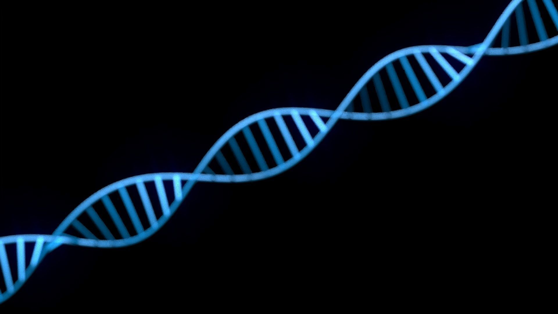 DNA Helix 3D model_15