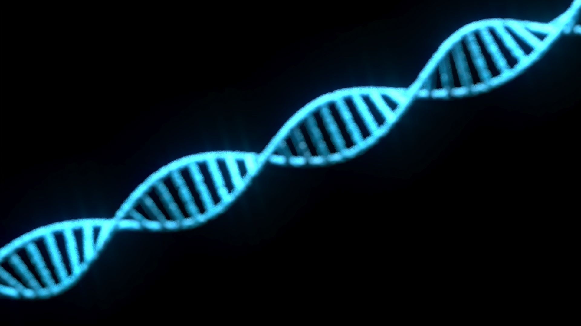 DNA Helix 3D model_3