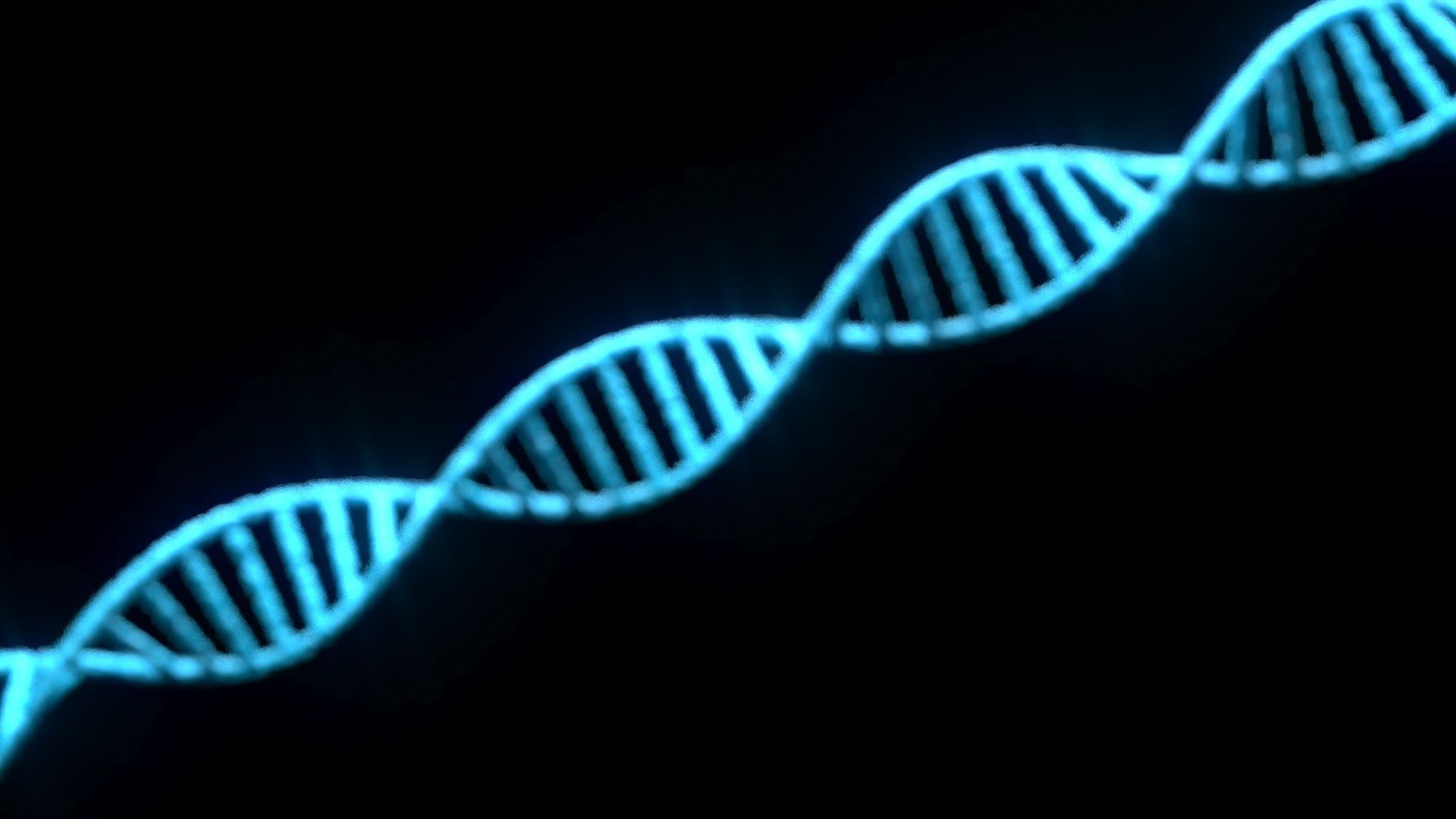 DNA Helix 3D model_12