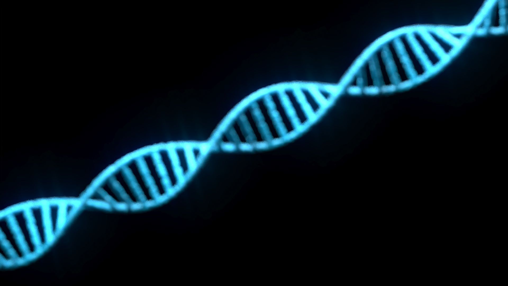 DNA Helix 3D model_11