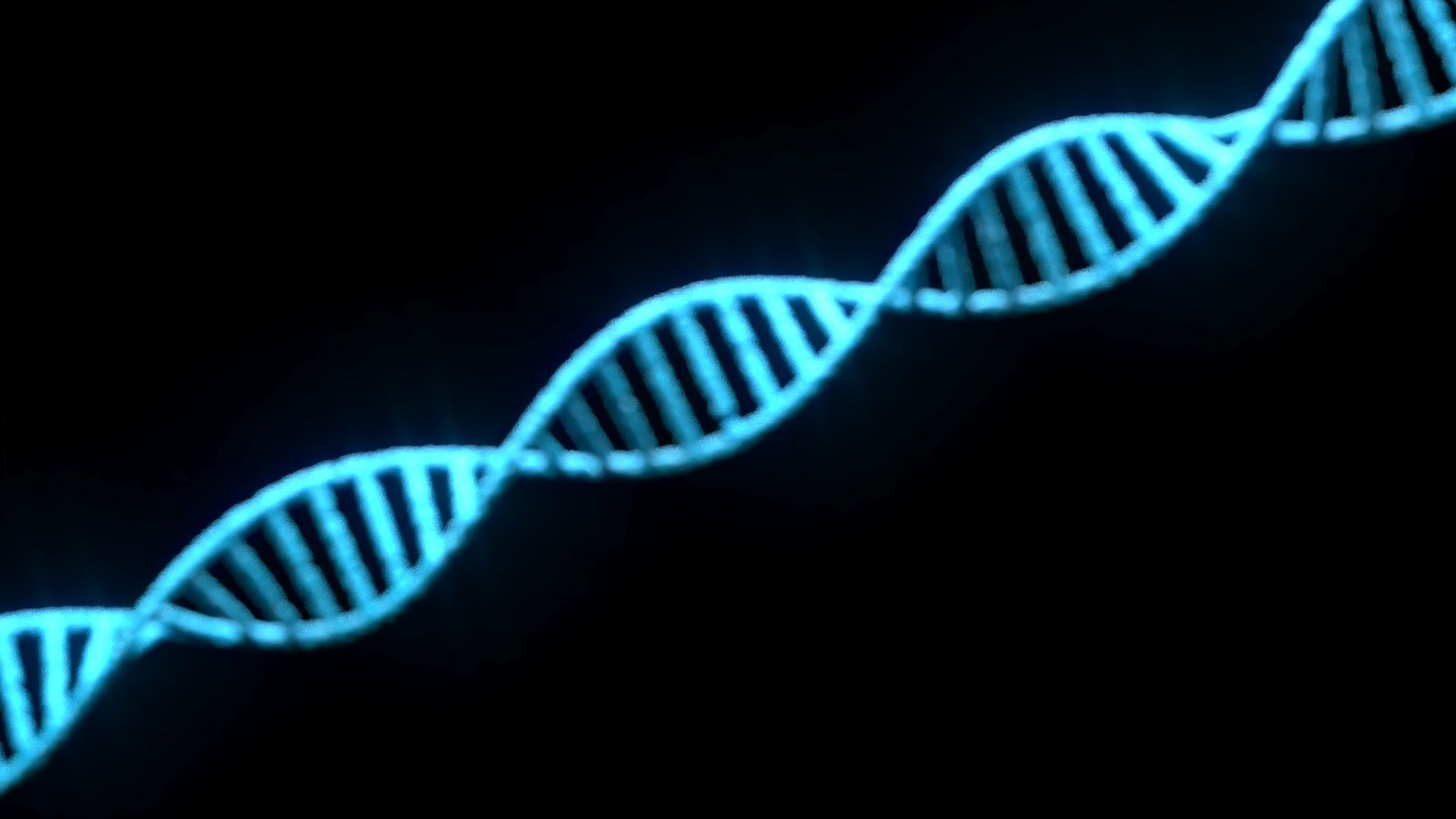 DNA Helix 3D model_16