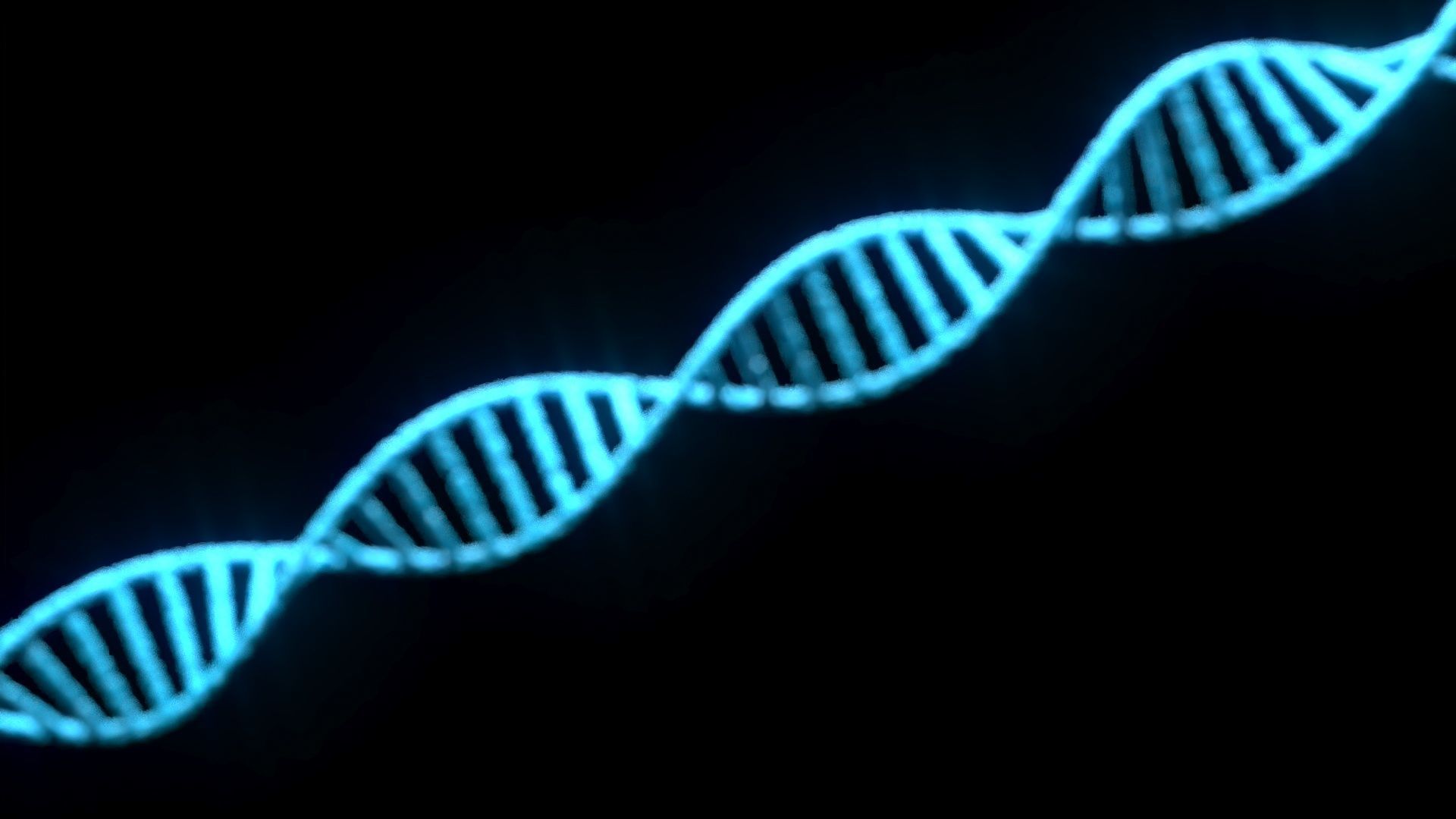 DNA Helix 3D model_8