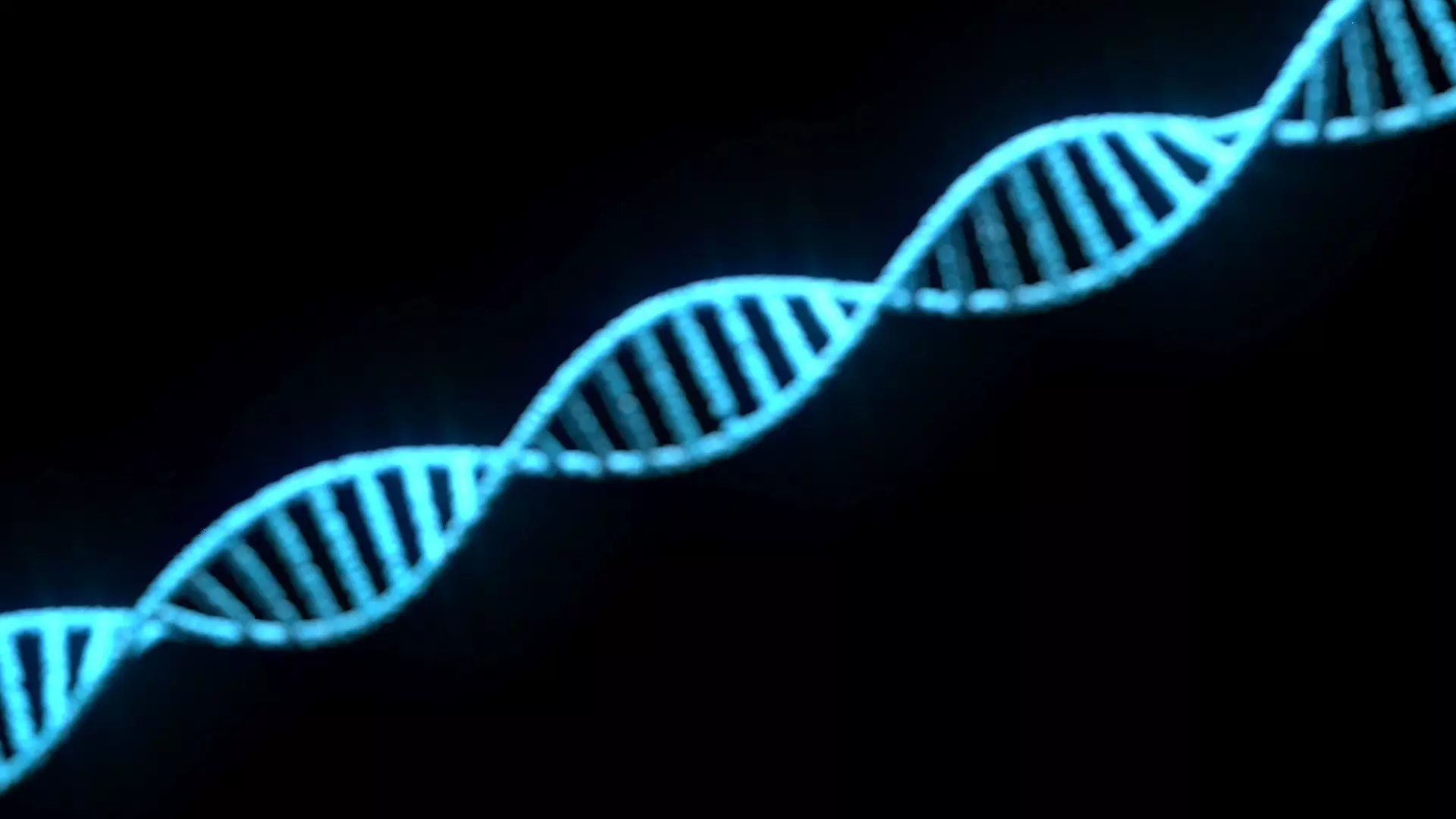 DNA Helix 3D model_0