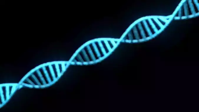 DNA Helix 3D model