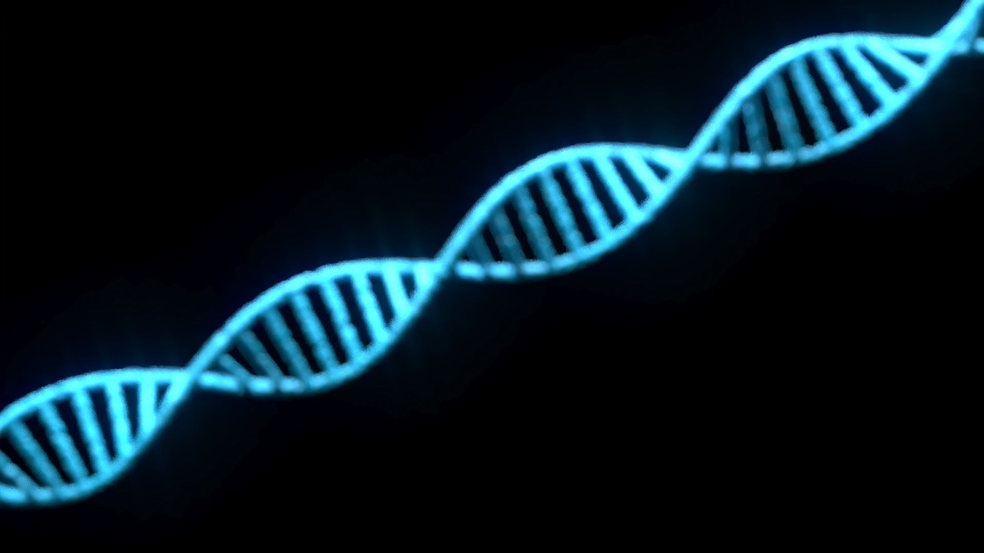 DNA Helix 3D model_7