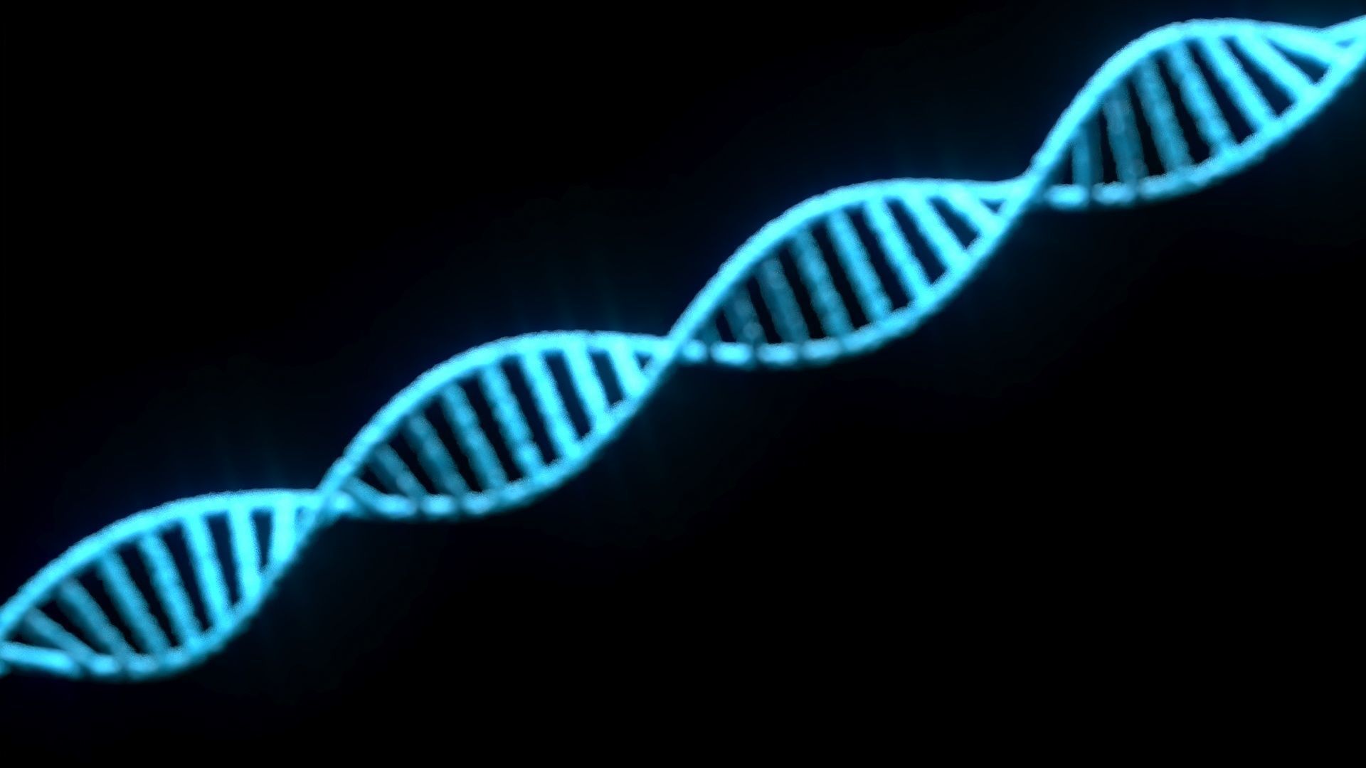 DNA Helix 3D model_4