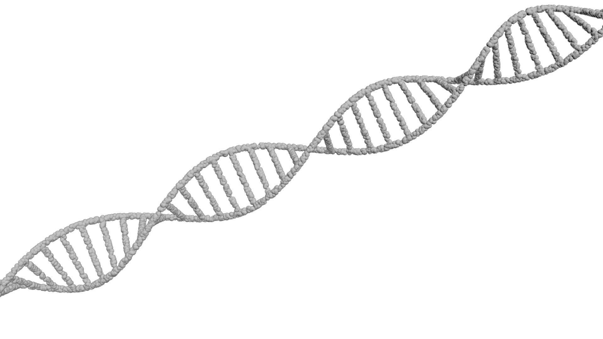 DNA Helix 3D model_18