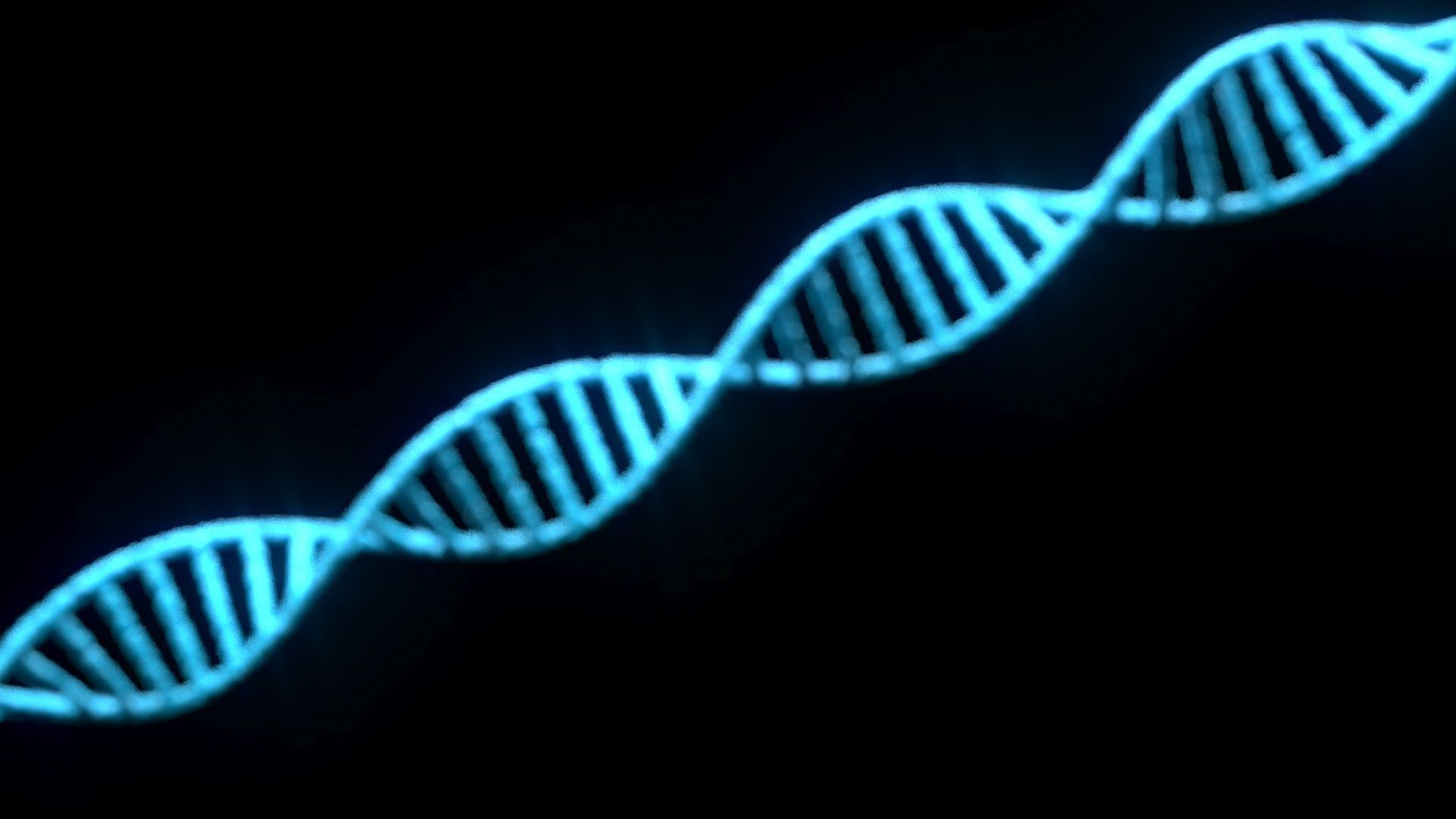 DNA Helix 3D model_5