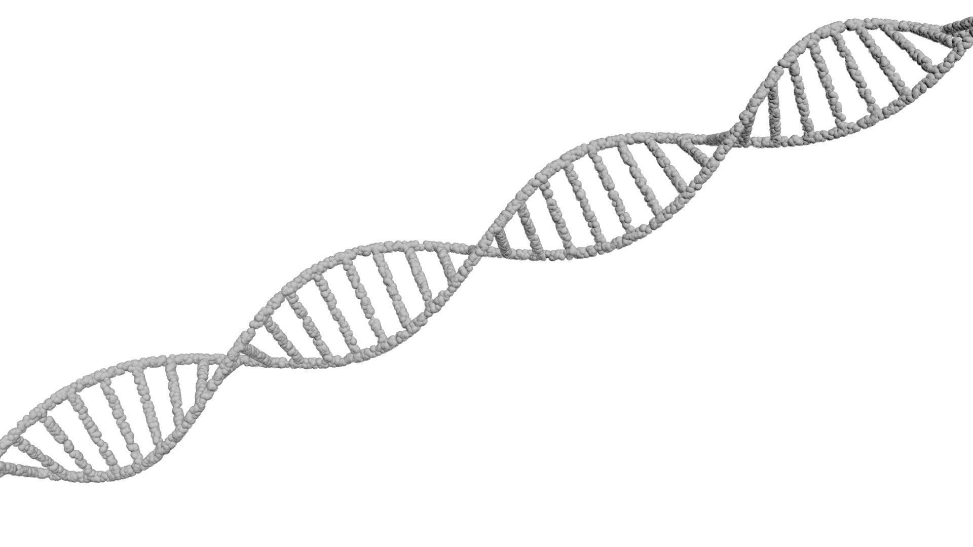 DNA Helix 3D model_19