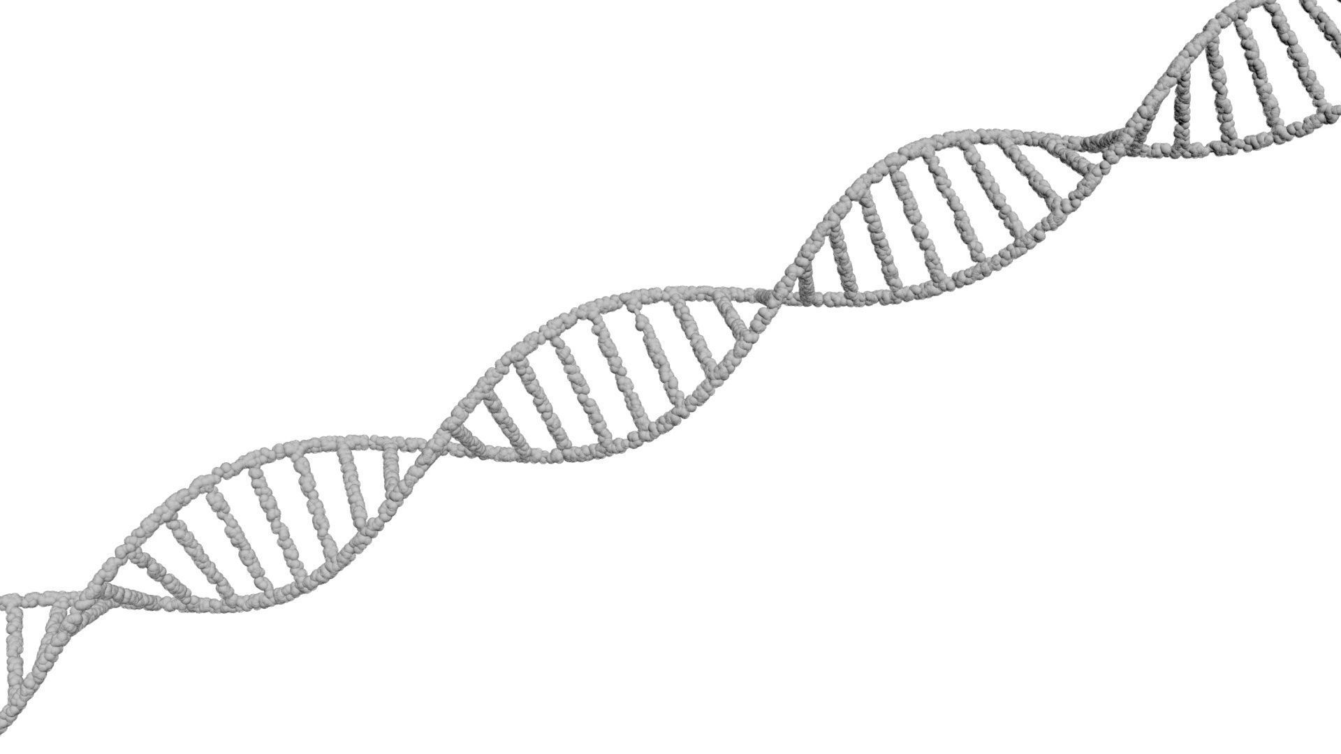 DNA Helix 3D model_21
