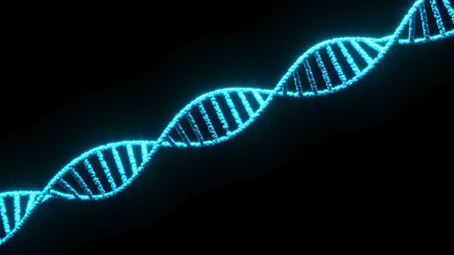 DNA Helix 3D model_13