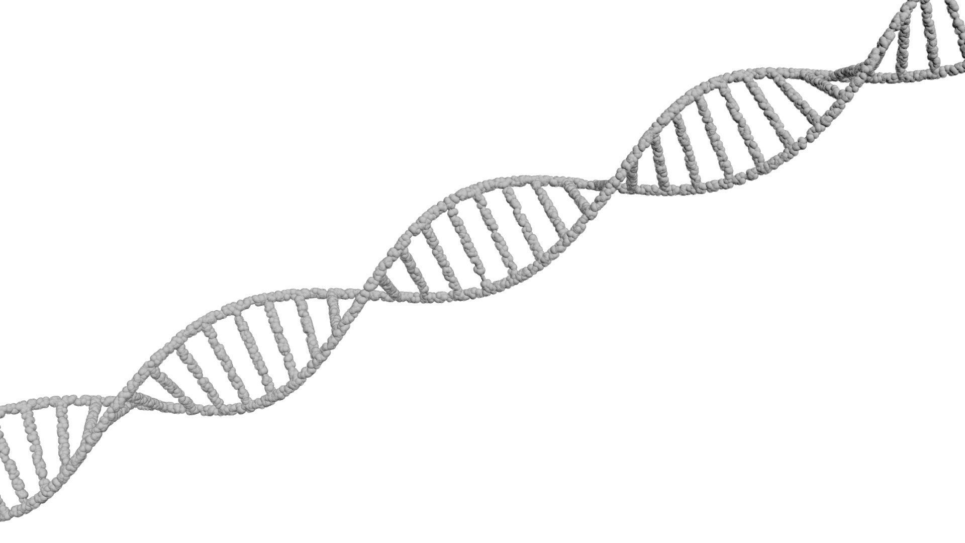 DNA Helix 3D model_22
