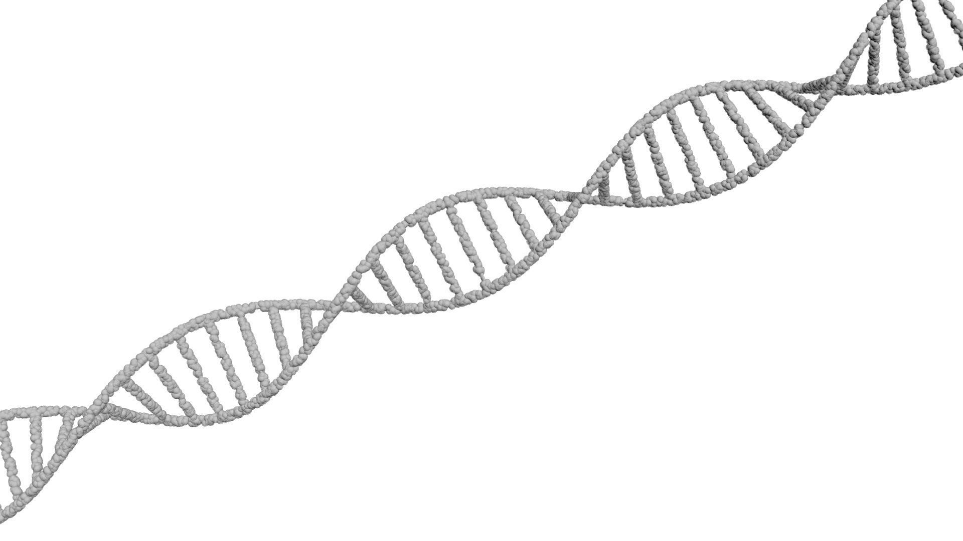DNA Helix 3D model_17
