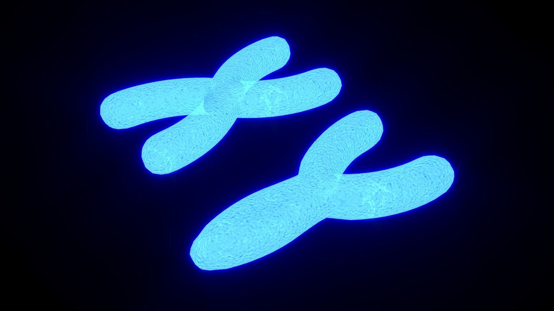Chromosome 3D model_1